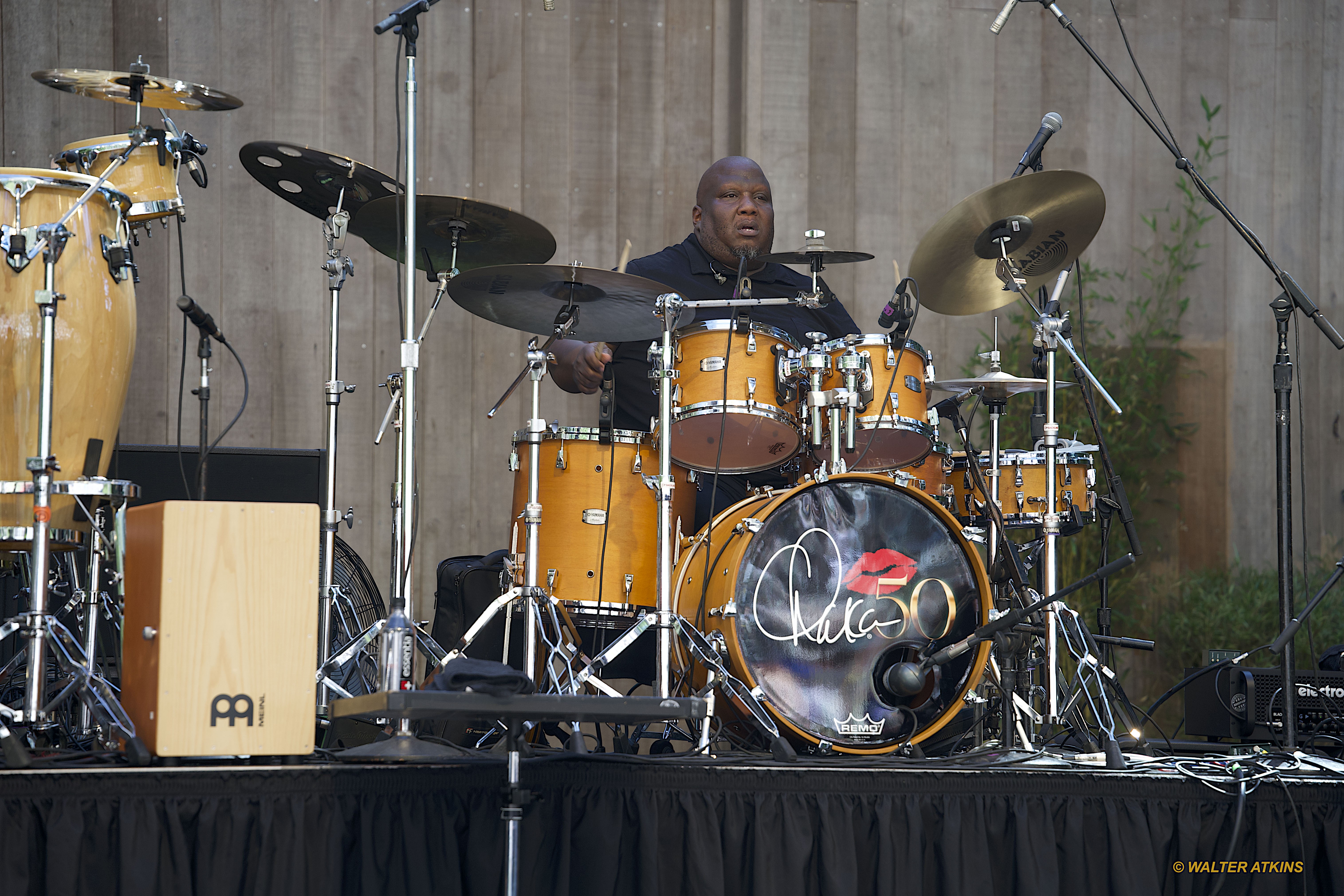 Chaka Khan at Stern Grove 2024
