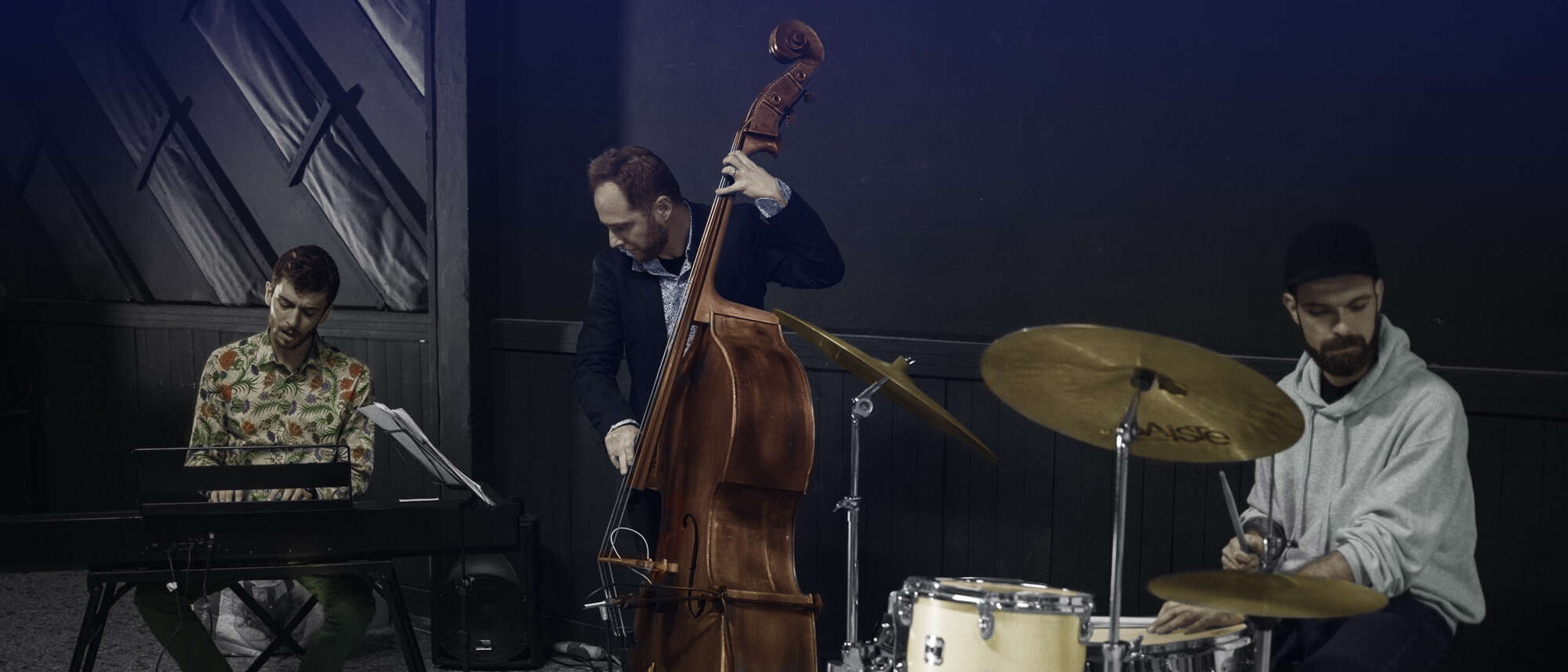 No Trio for Cats - live - color - landscape