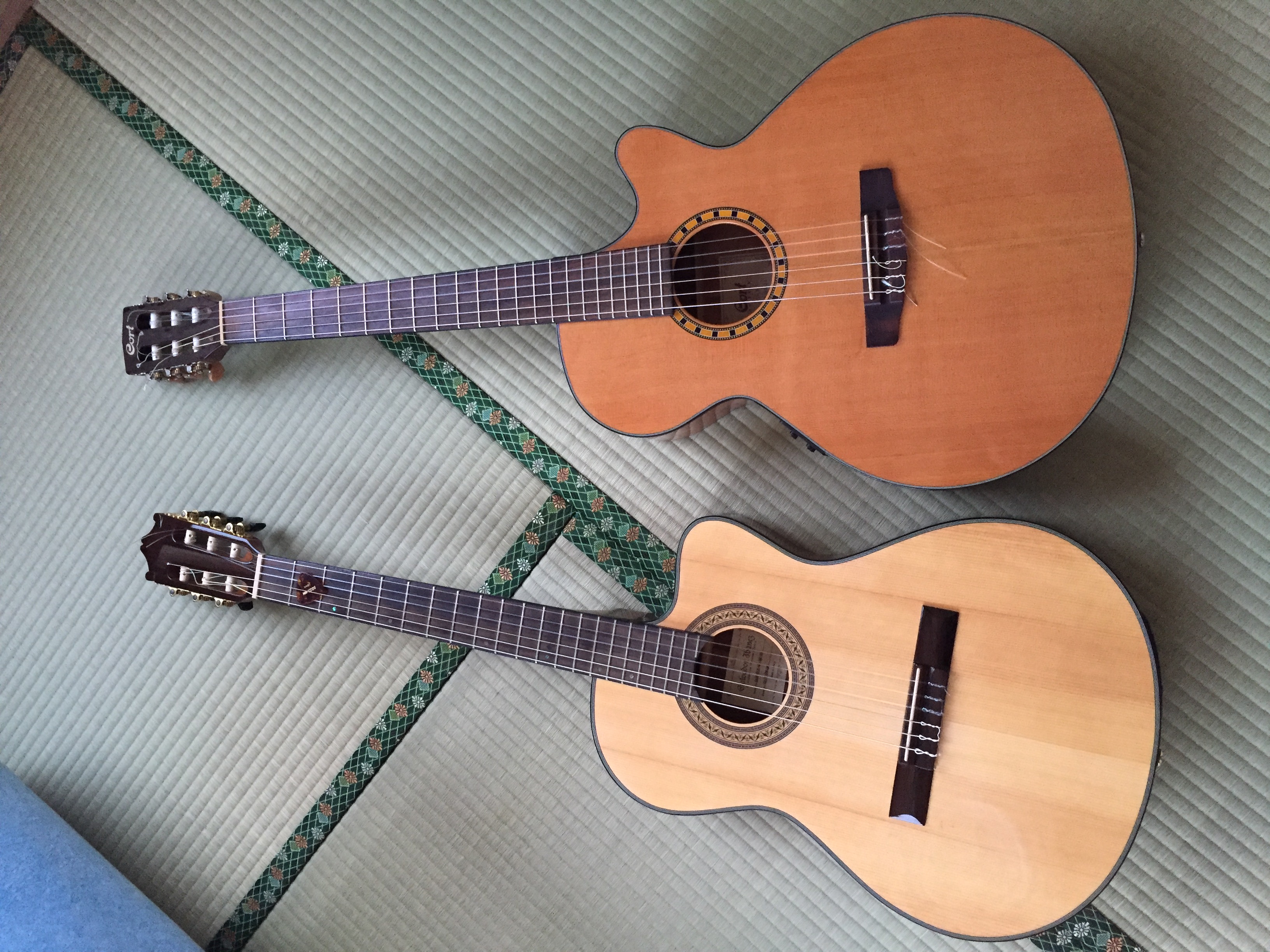 Ibanez & Cort Spanish cutaways. 