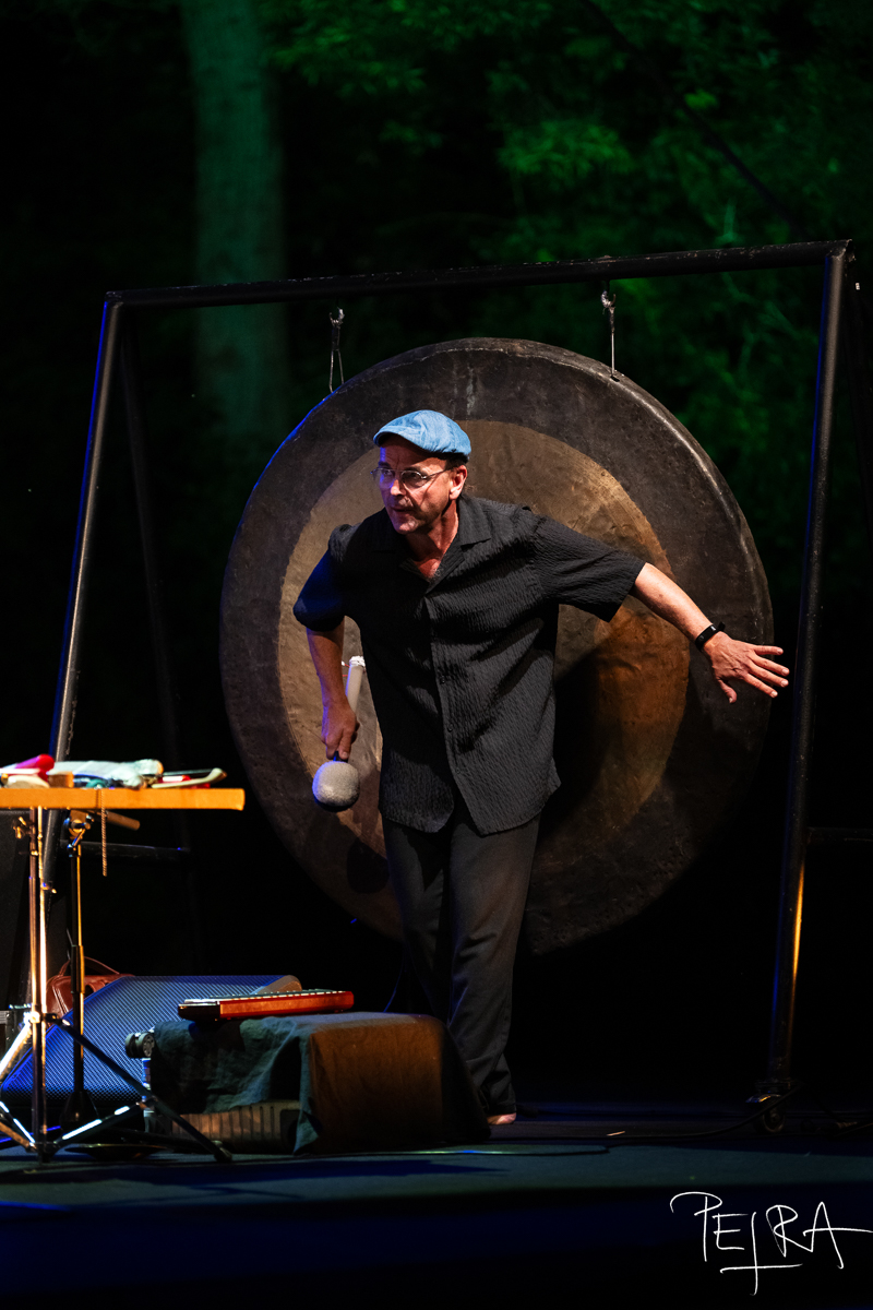 Lucas Niggli Tentet / Sound of Serendipity