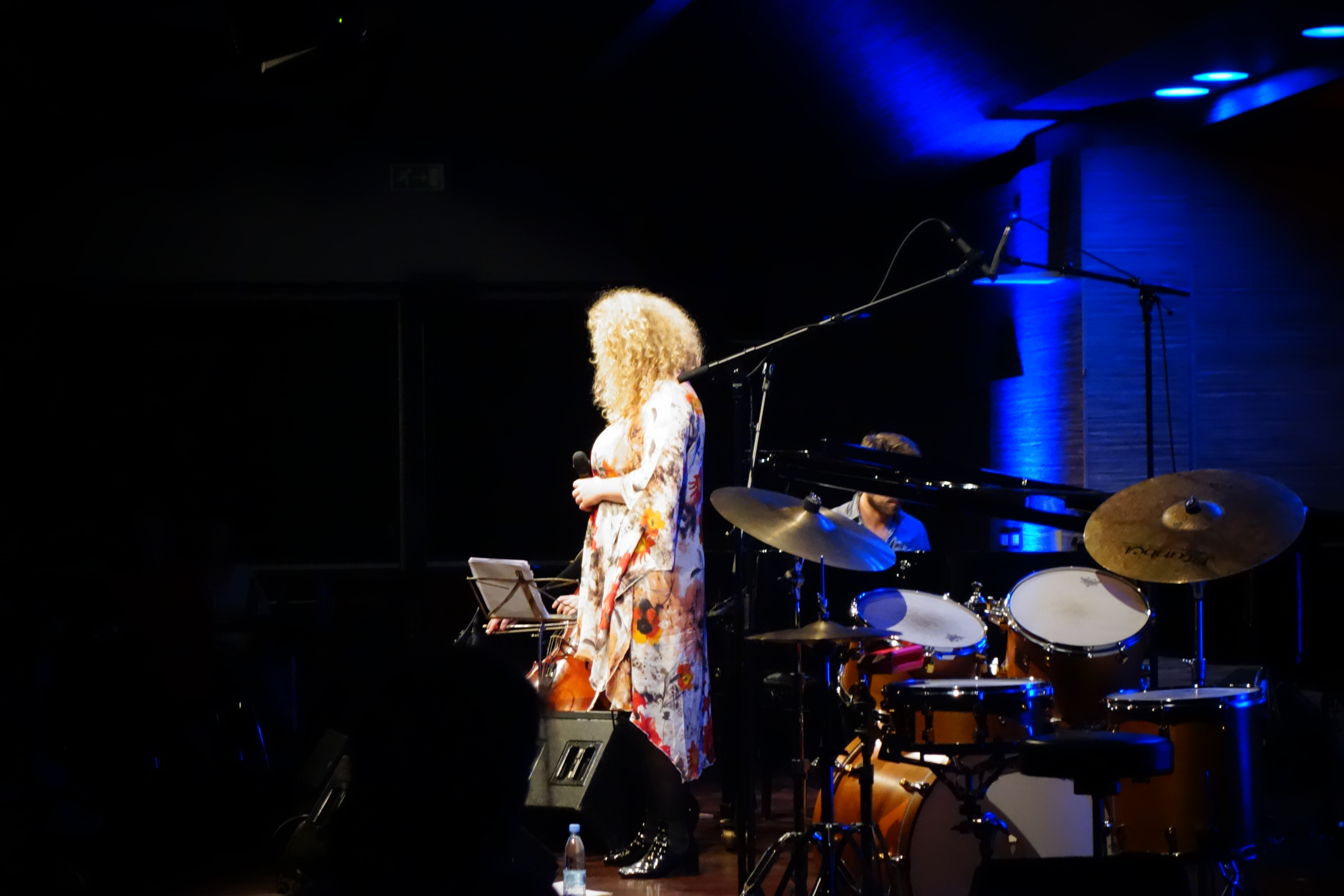 Emilia Mårtensson Trio - Ljubljana Jazz Festival 2017