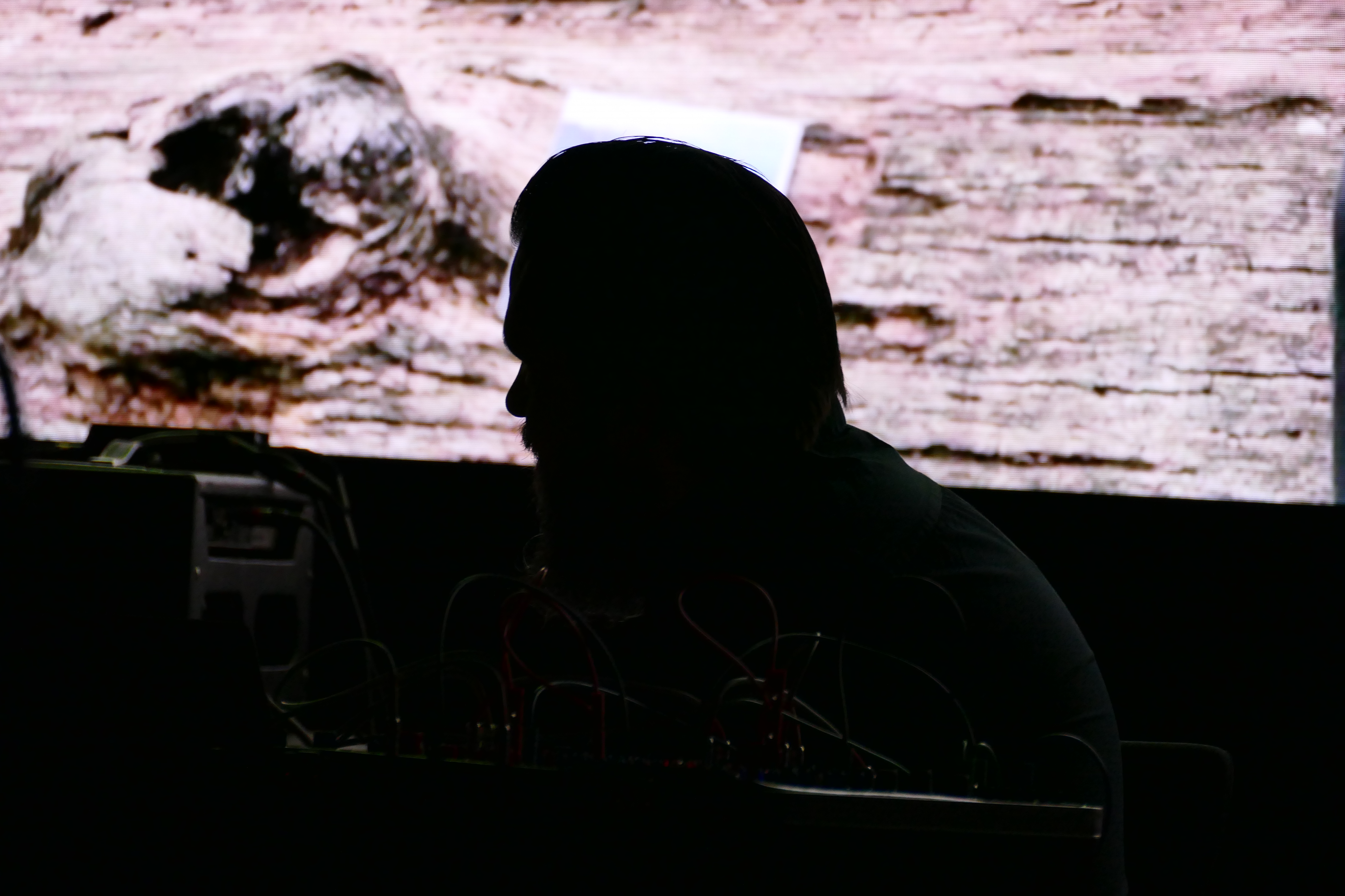 Punkt Festival 2021 - Helge Sten