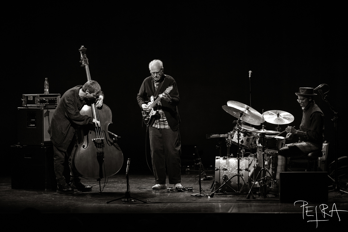 BILL FRISELL TRIO featuring THOMAS MORGAN & RUDY ROYSTON