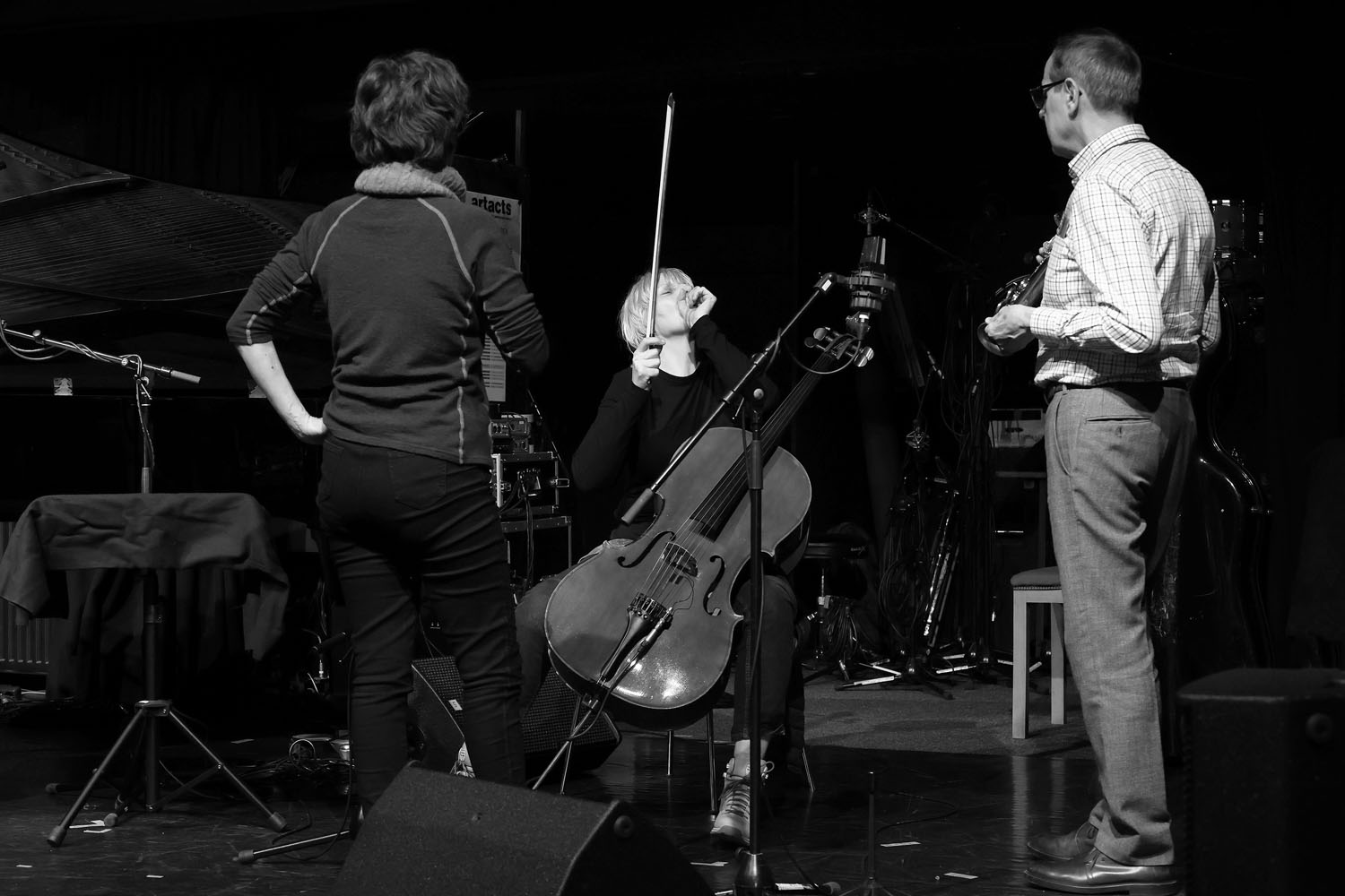Wild Chamber Trio