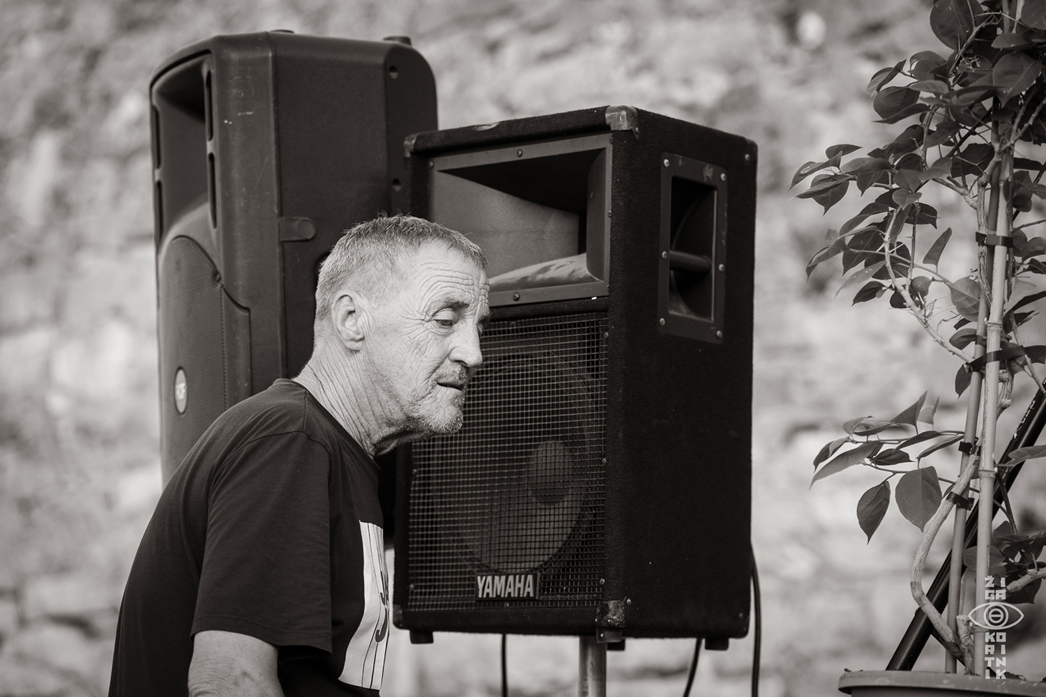 Vis Jazz festival 2026  — jazz photo by Ziga Koritnik | All About Jazz