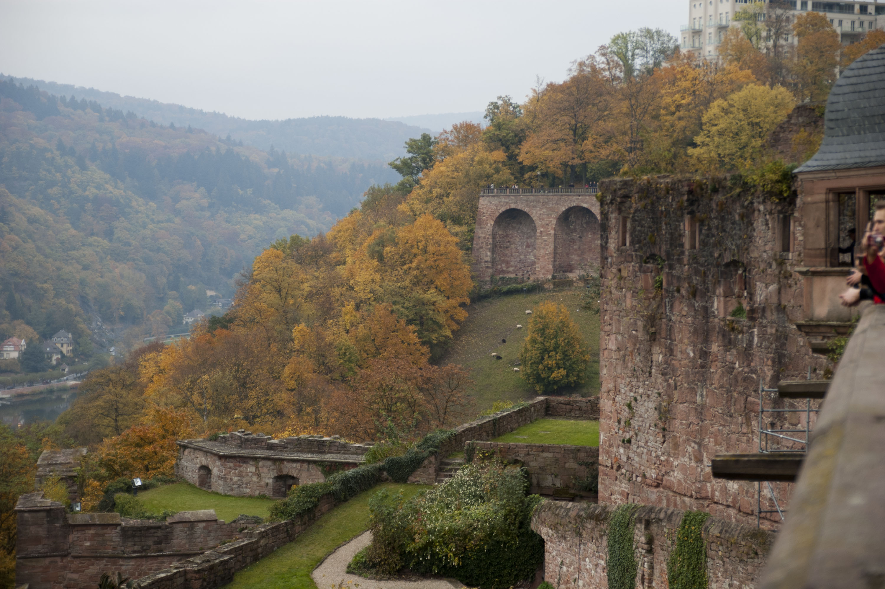 Images of Heidelberg, Enjoy Jazz 2011