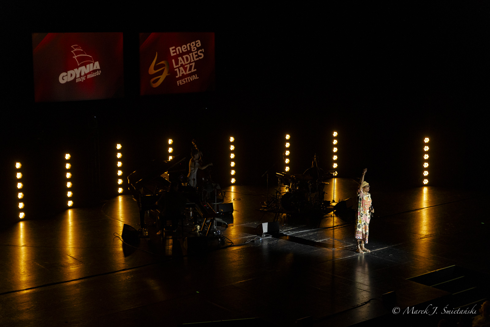 Dee Dee Bridgewater live