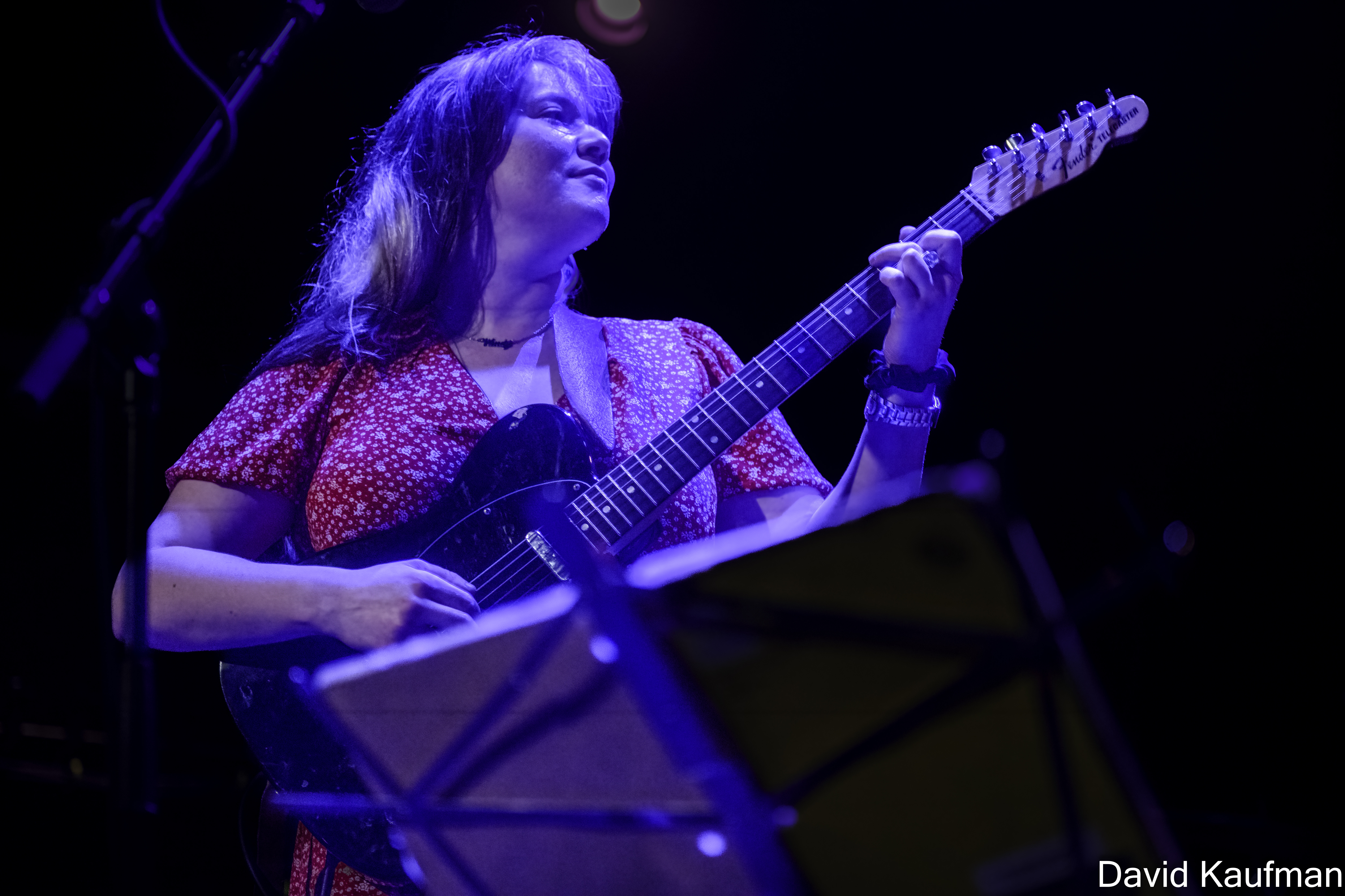 Wendy Eisenberg Opening for The Messthetics and James Brandon Lewis at the Bowery Ballroom