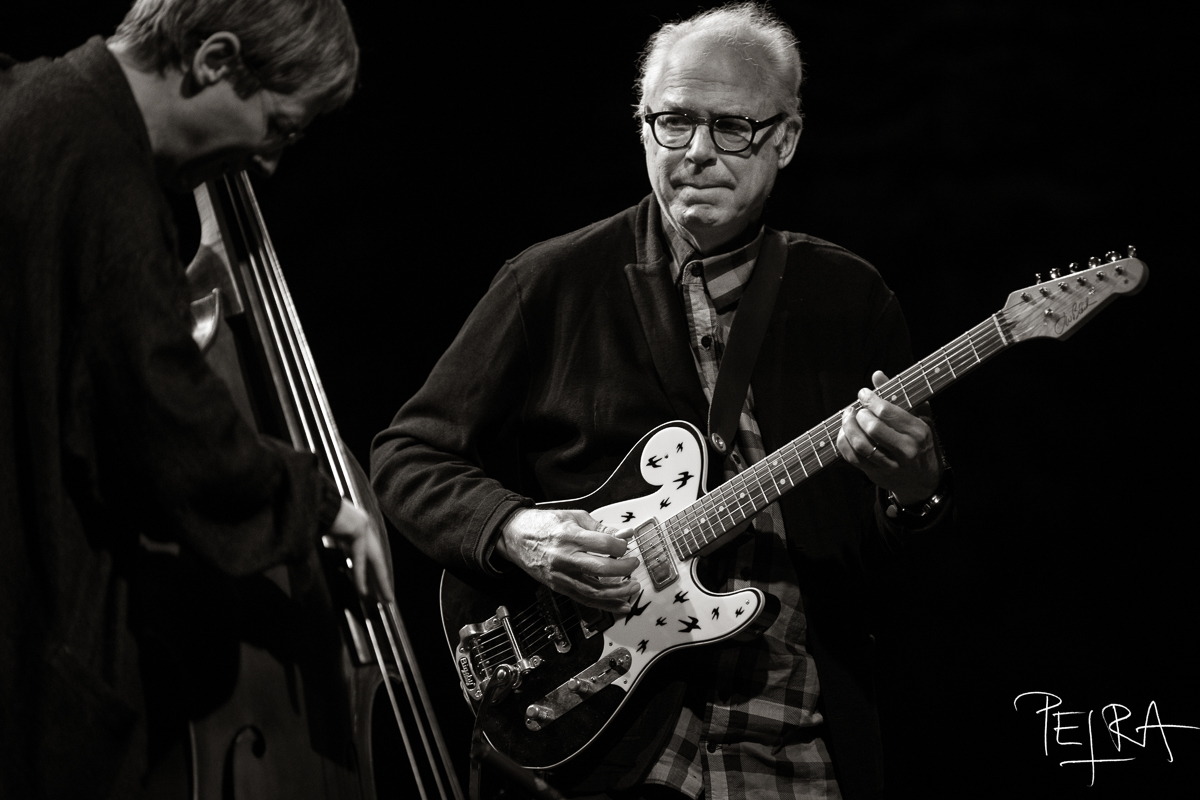 BILL FRISELL TRIO featuring THOMAS MORGAN & RUDY ROYSTON
