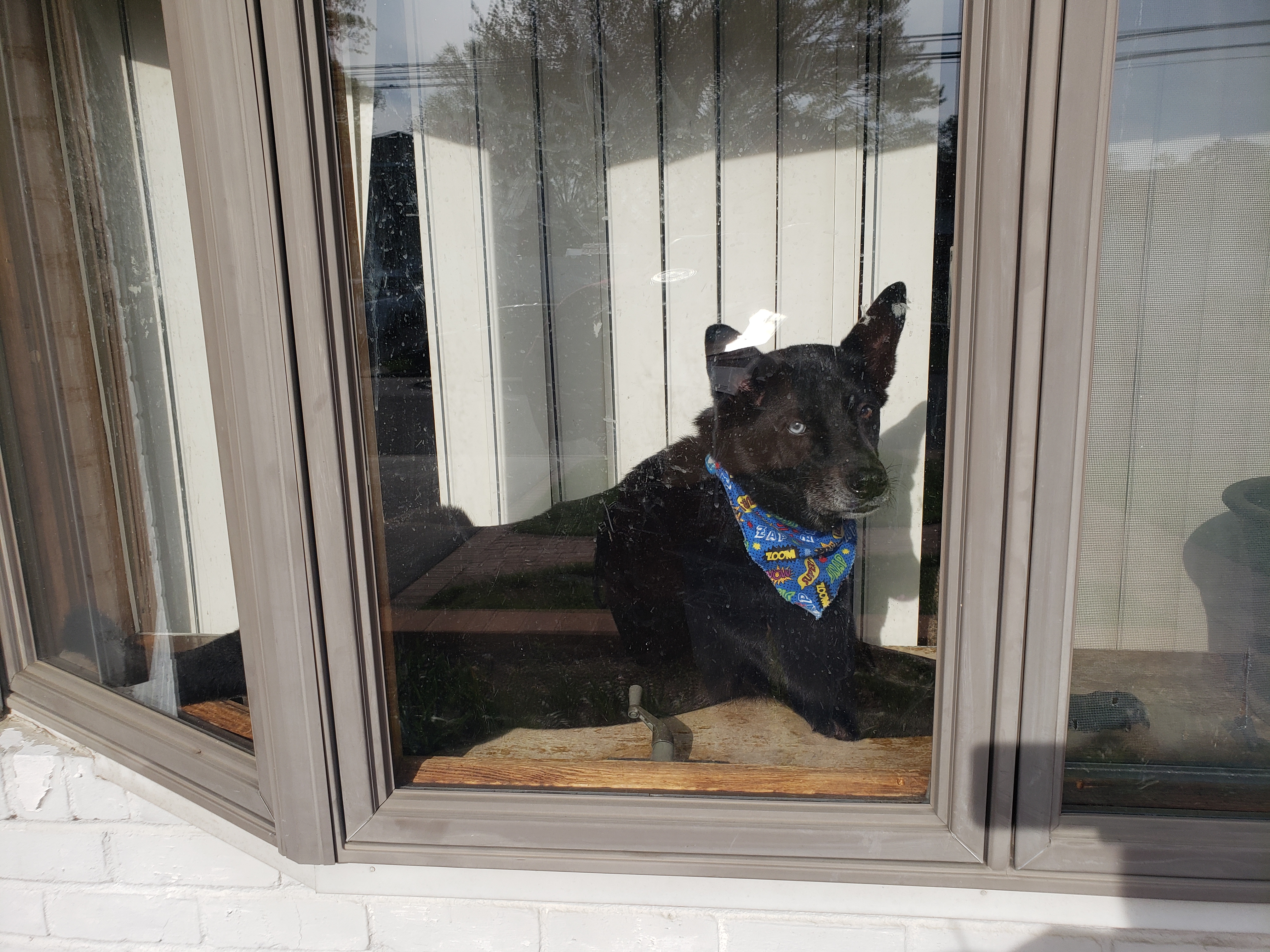 Cruiser in the Window