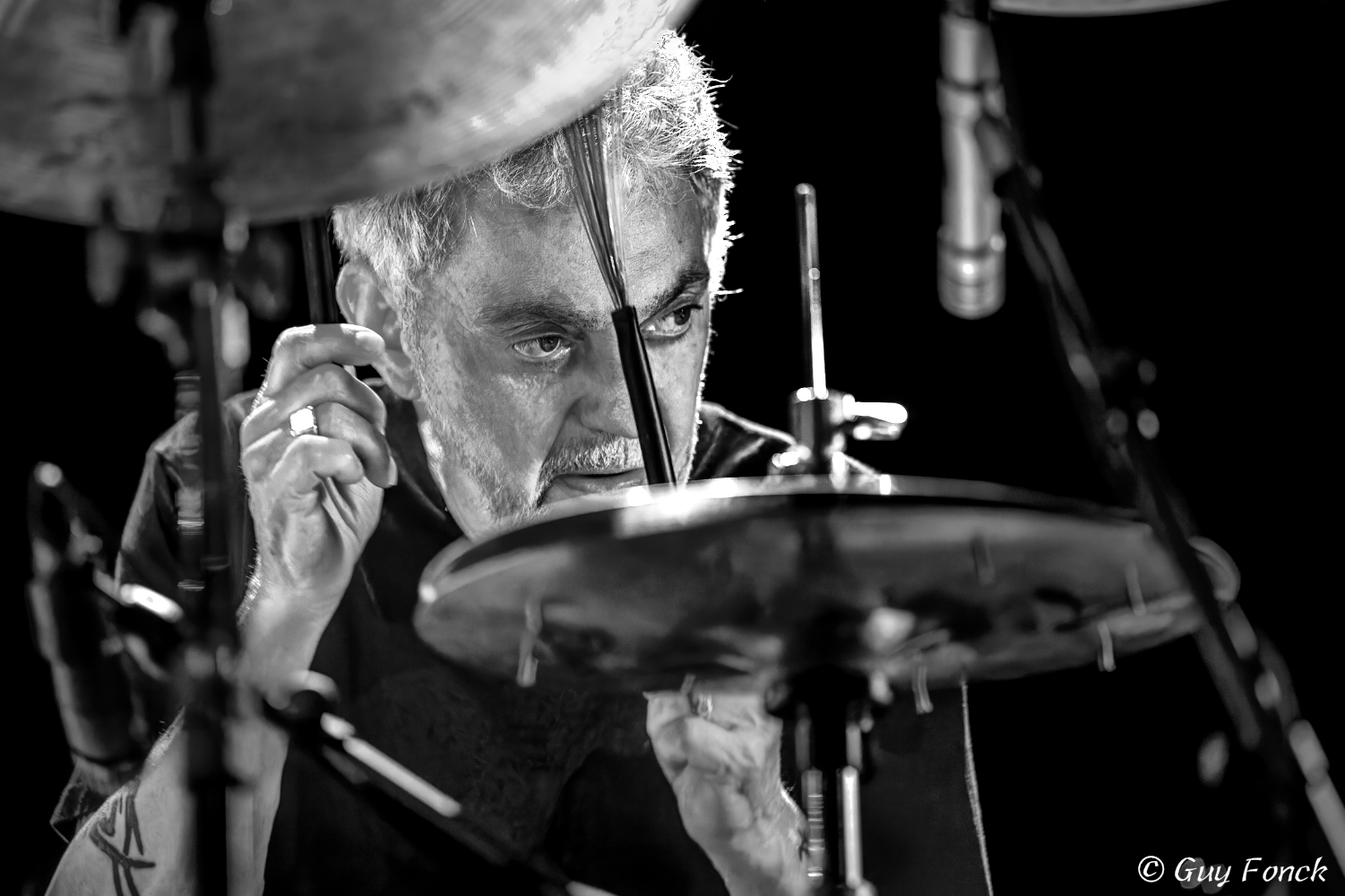 Steve Gadd 2016