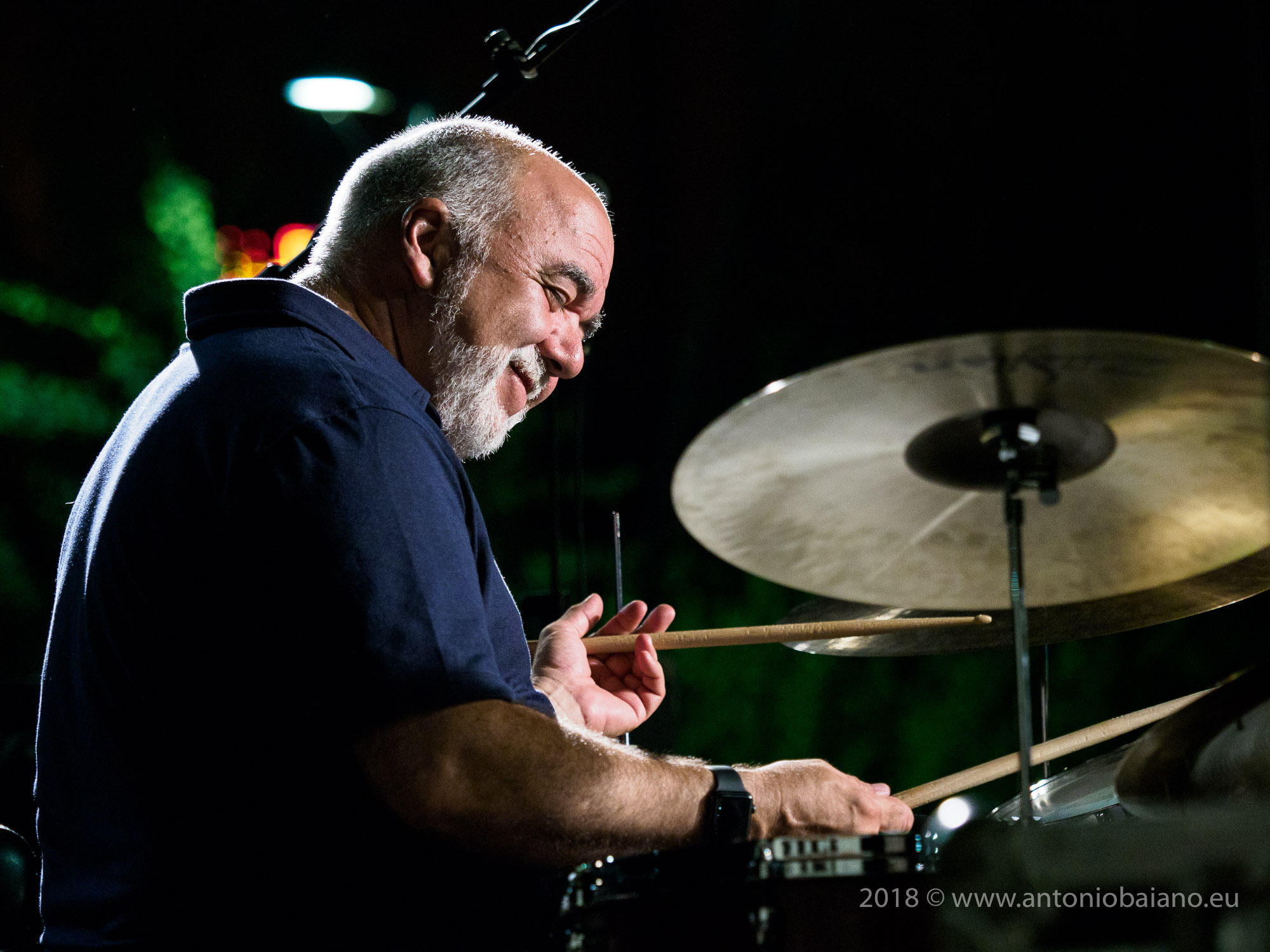 Peter Erskine - The Art of the Quartet