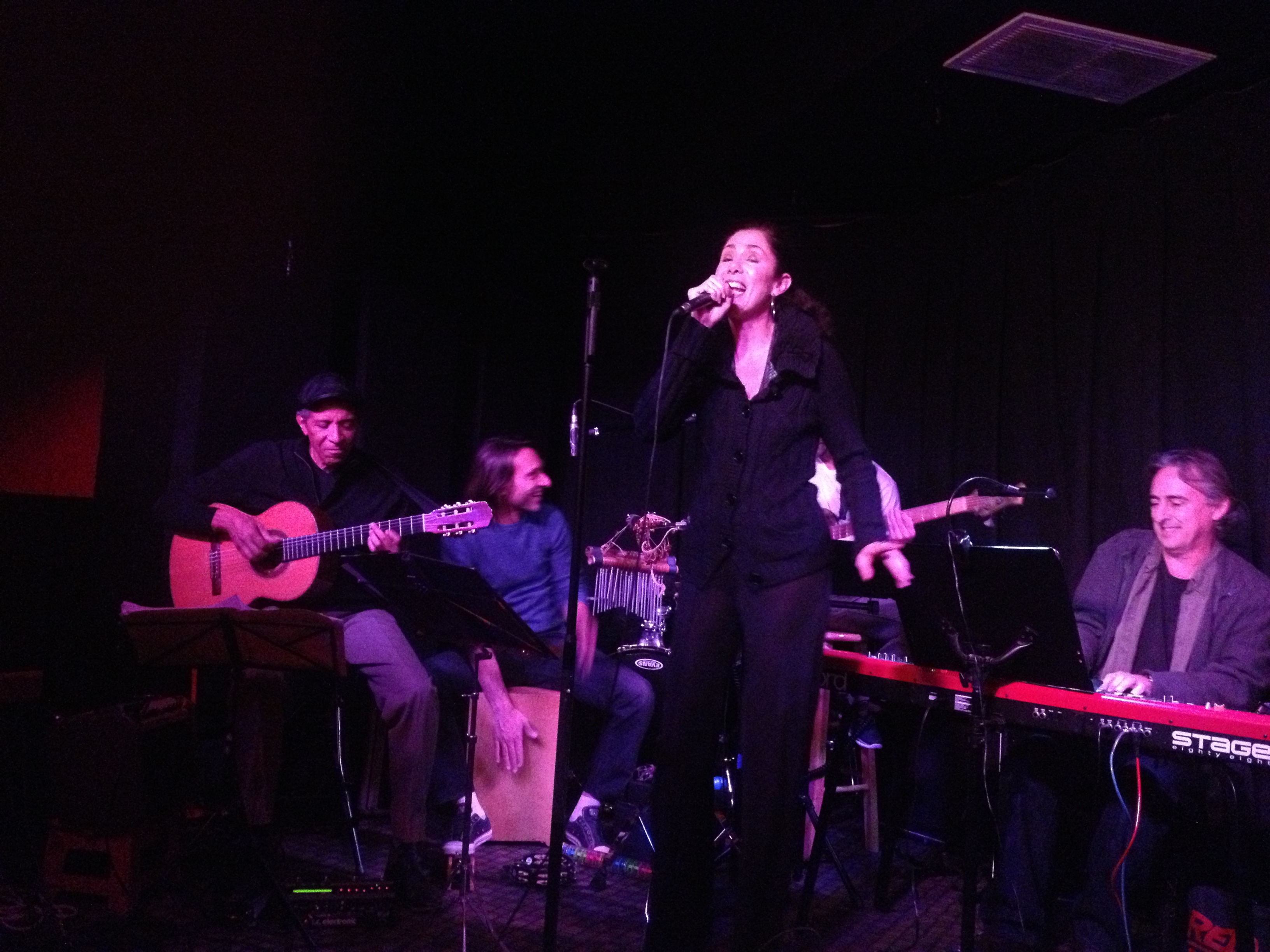 Ipanema Lounge Project at Genghis Cohen, November 25, 2014