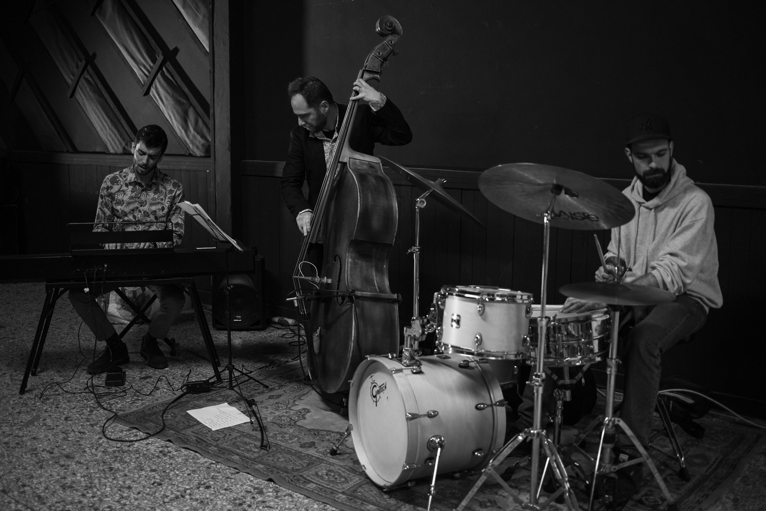 No Trio for Cats - live - bw - landscape