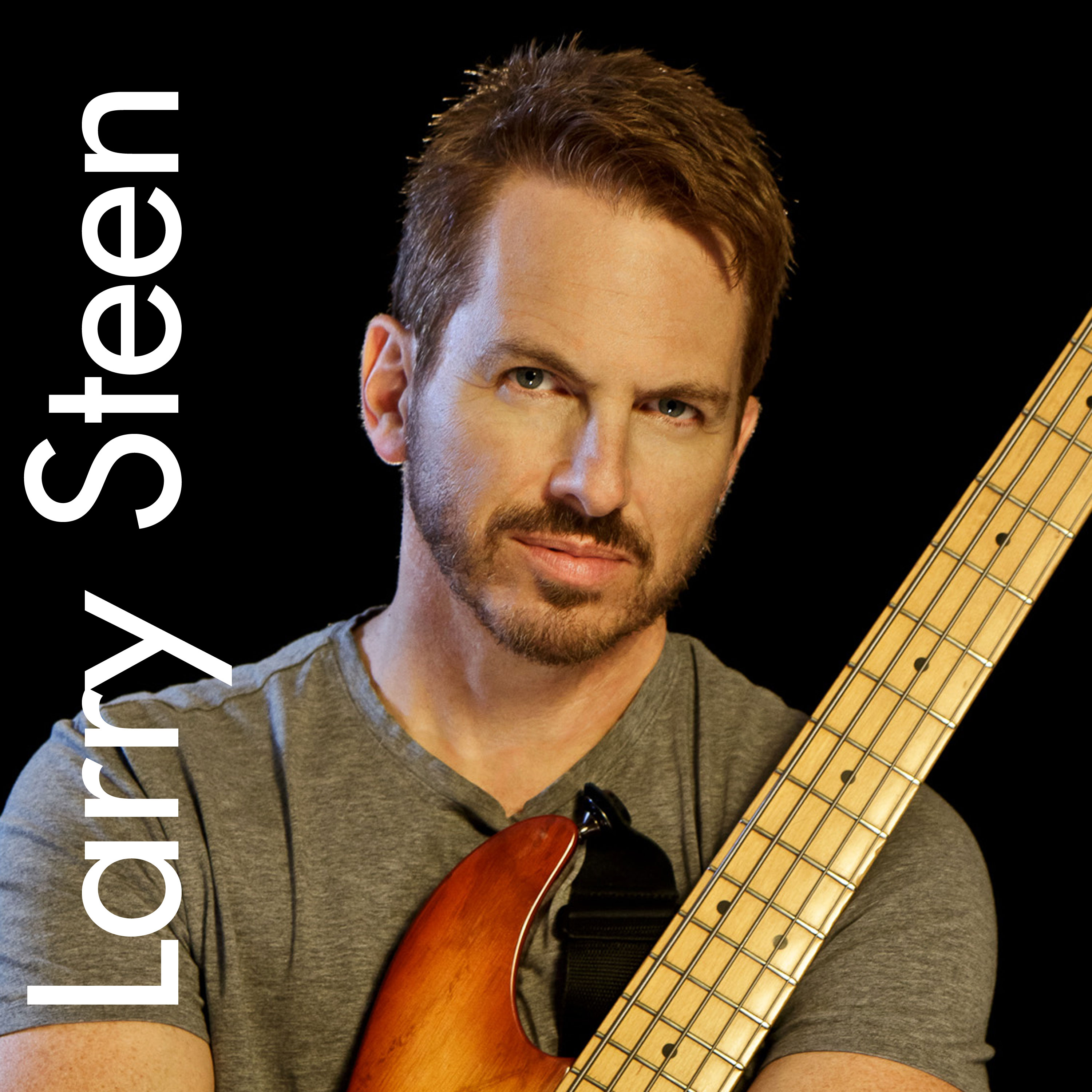 Larry Steen