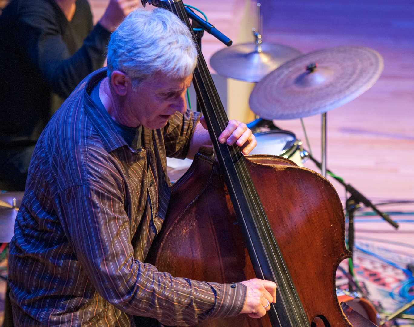 Mark Dresser with Quintet at the Vision Festival 2012