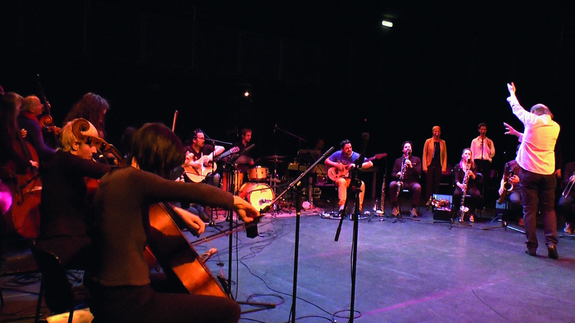 VIENNA IMPROVISERS ORCHESTRA — jazz photo by Michael Fischer | All About Jazz