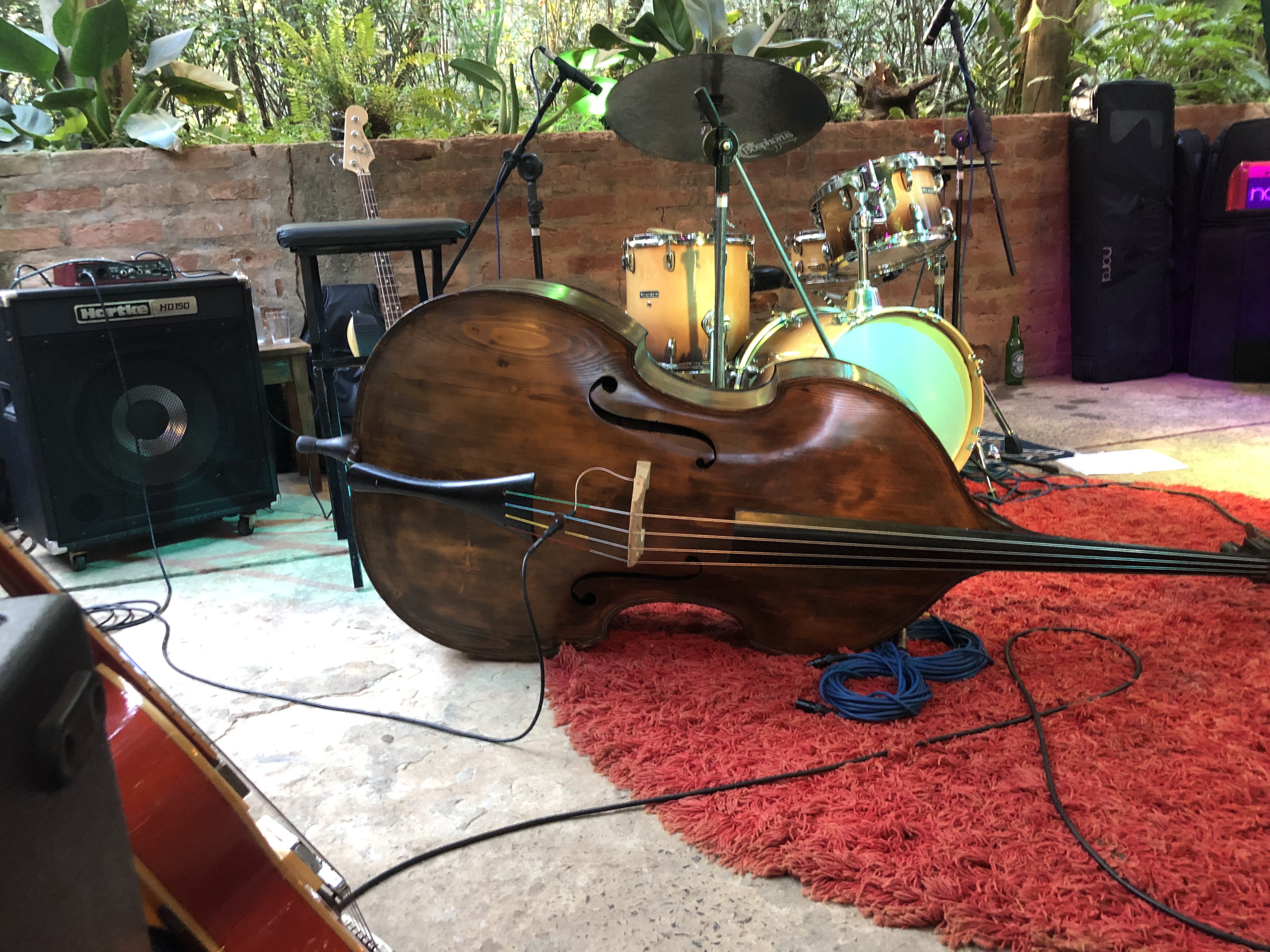 Bass player