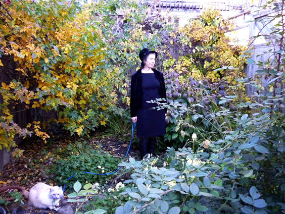 Laura Marks