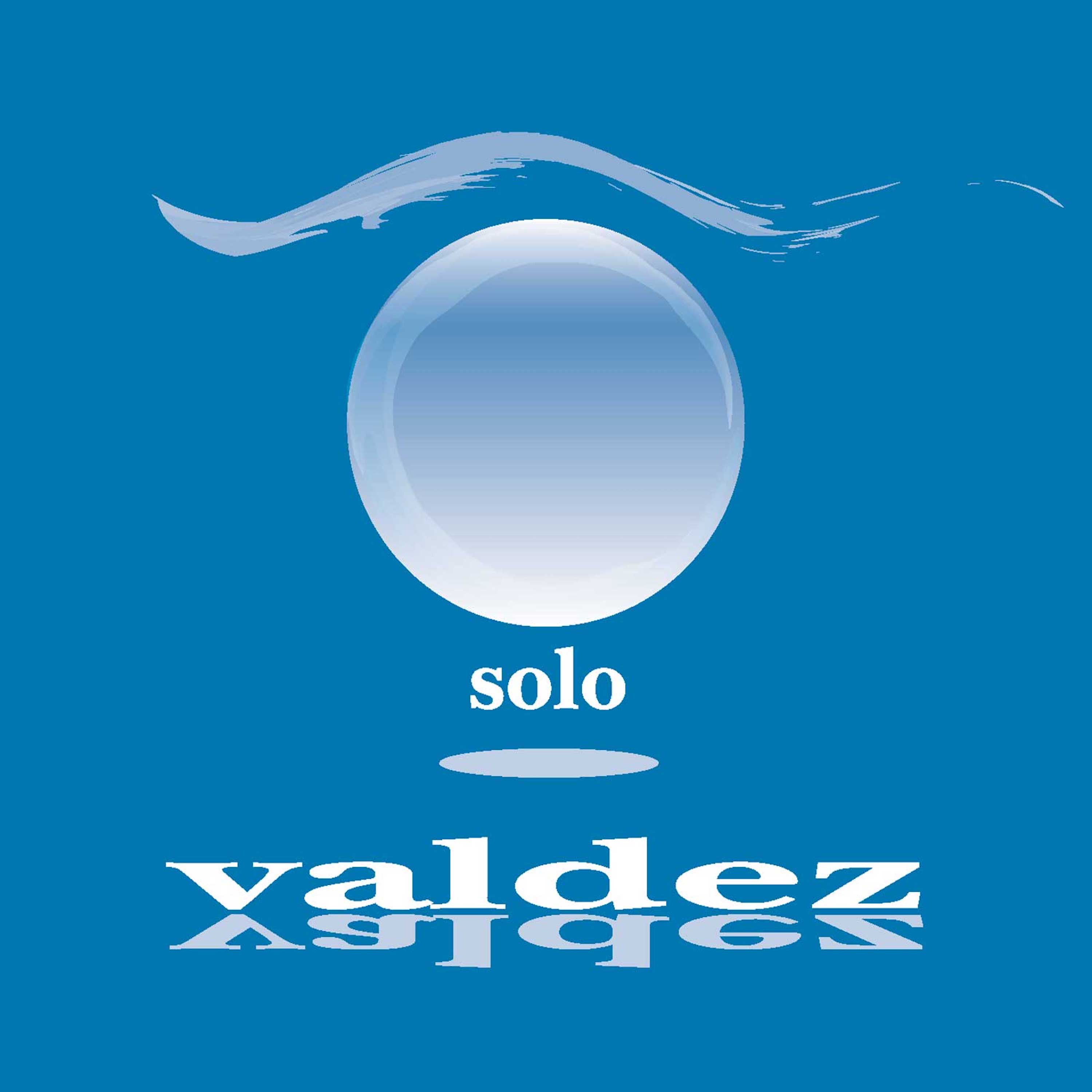 Solo cover2003