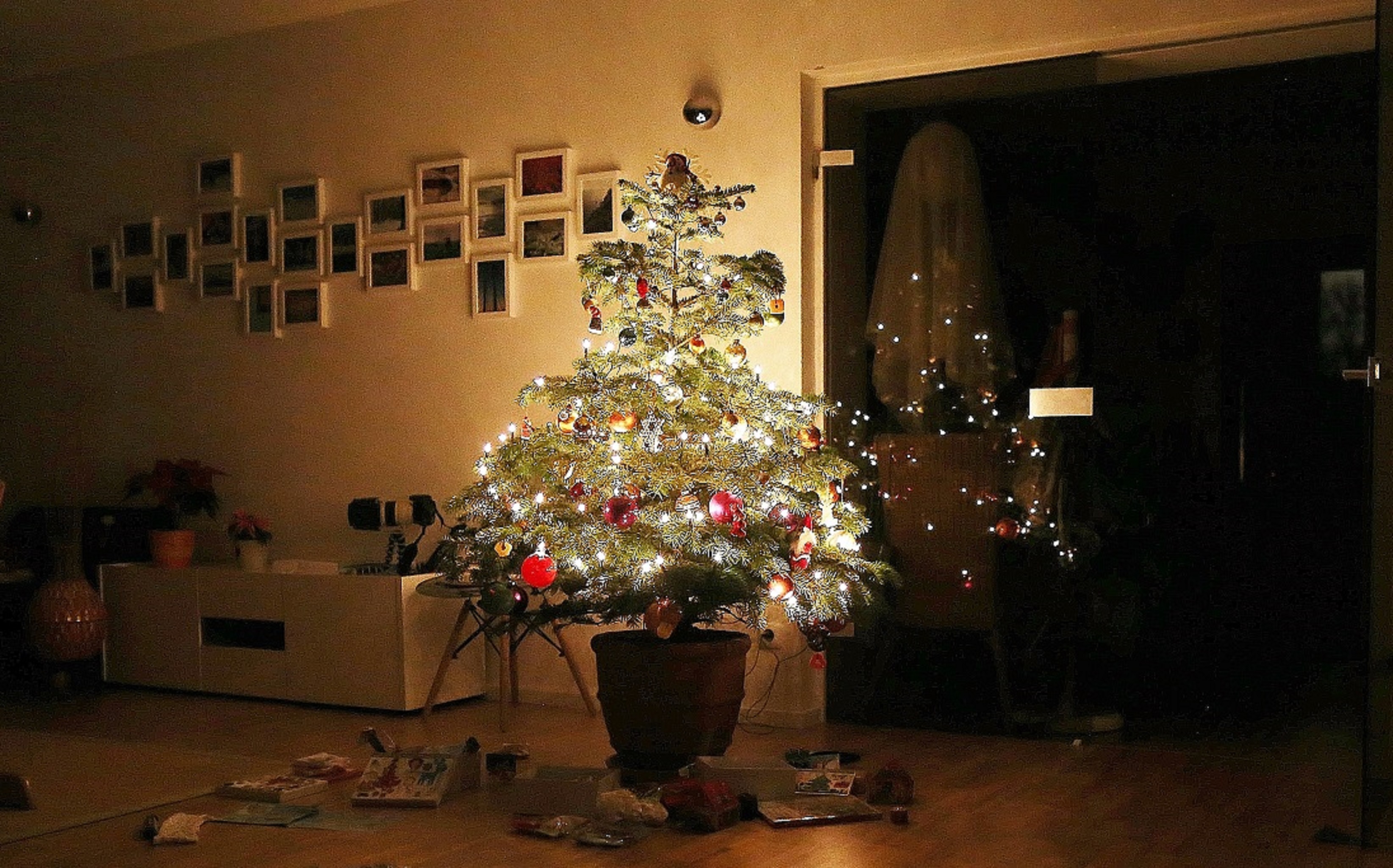 Christmas Tree Inside Illuminated