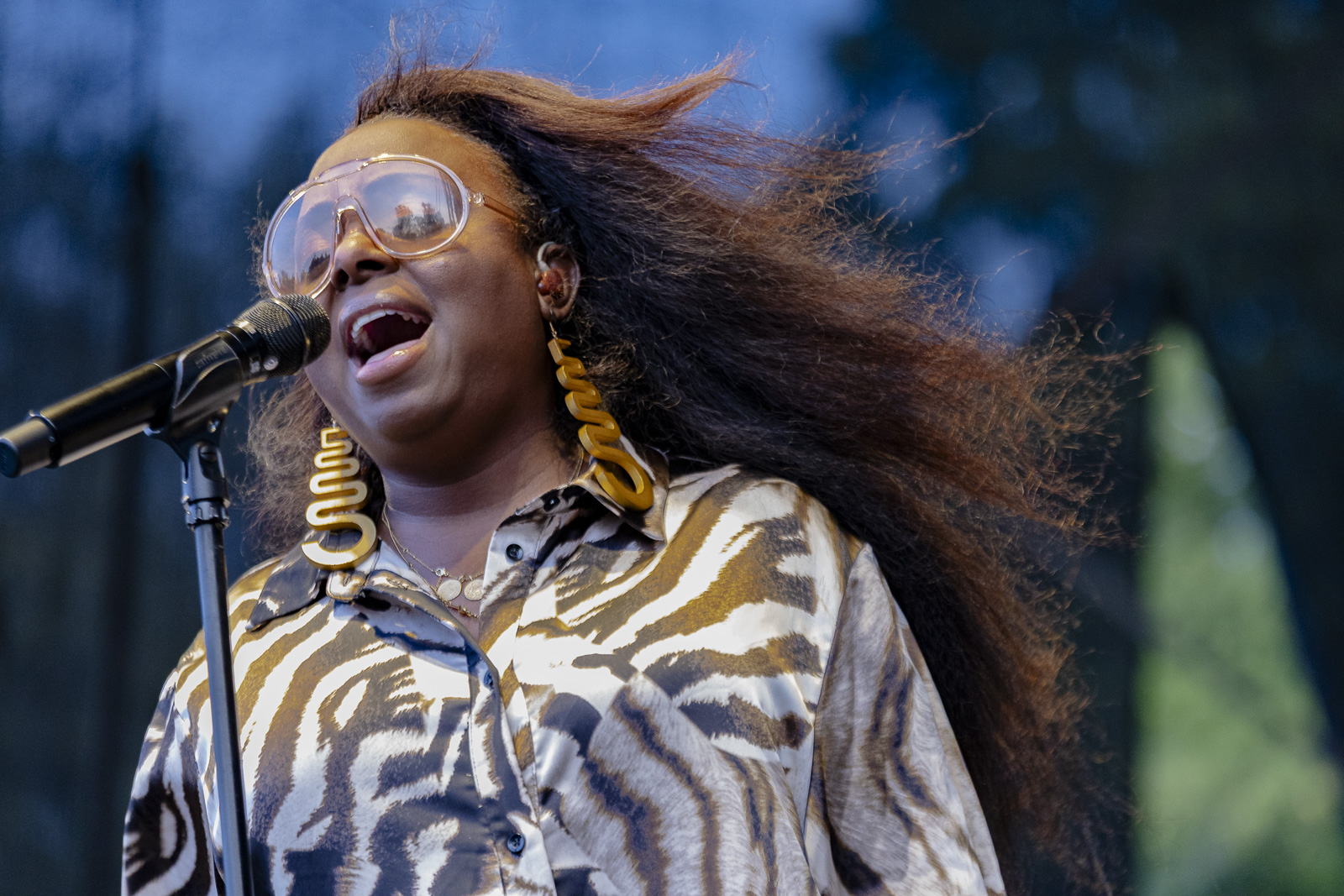 Ledisi