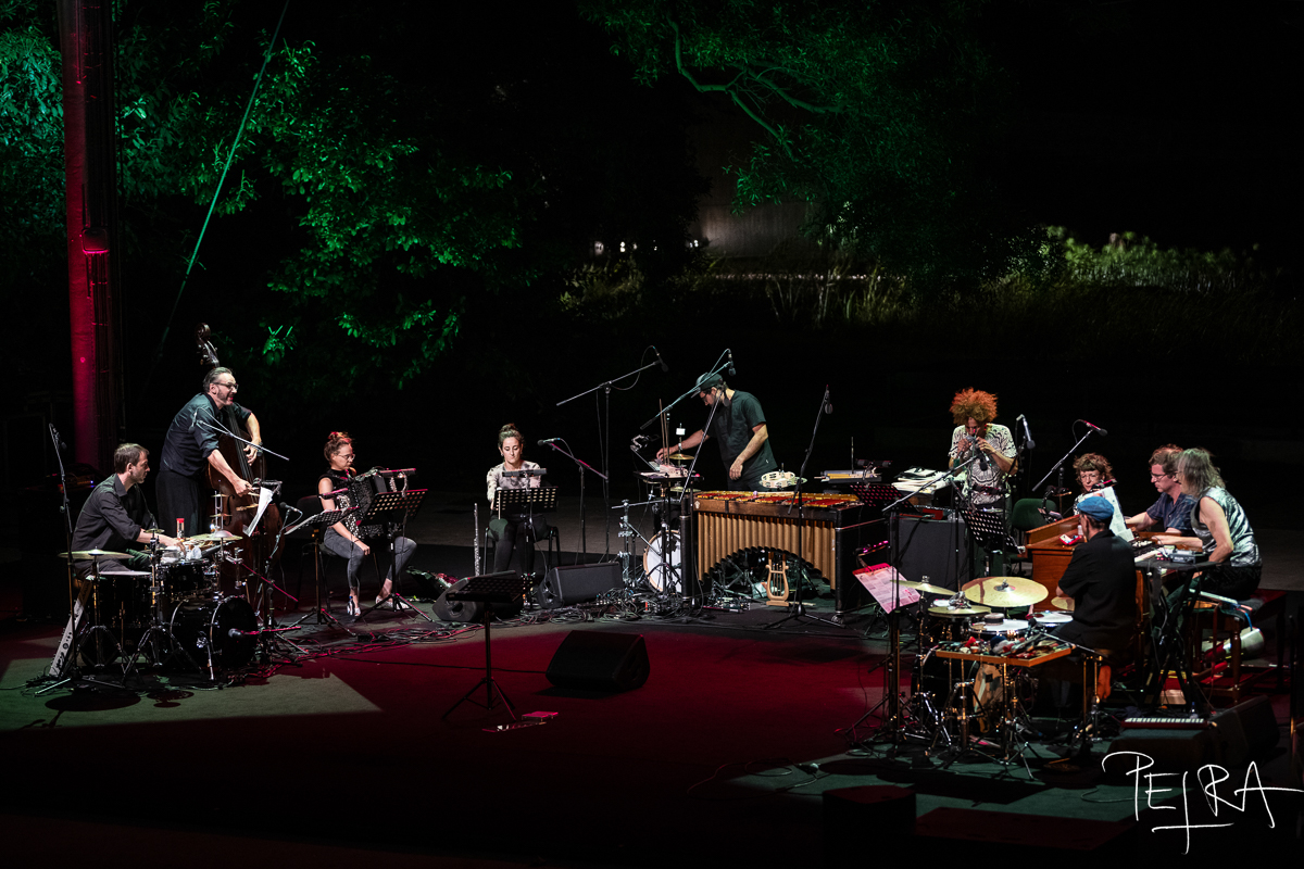 Lucas Niggli Tentet / Sound of Serendipity