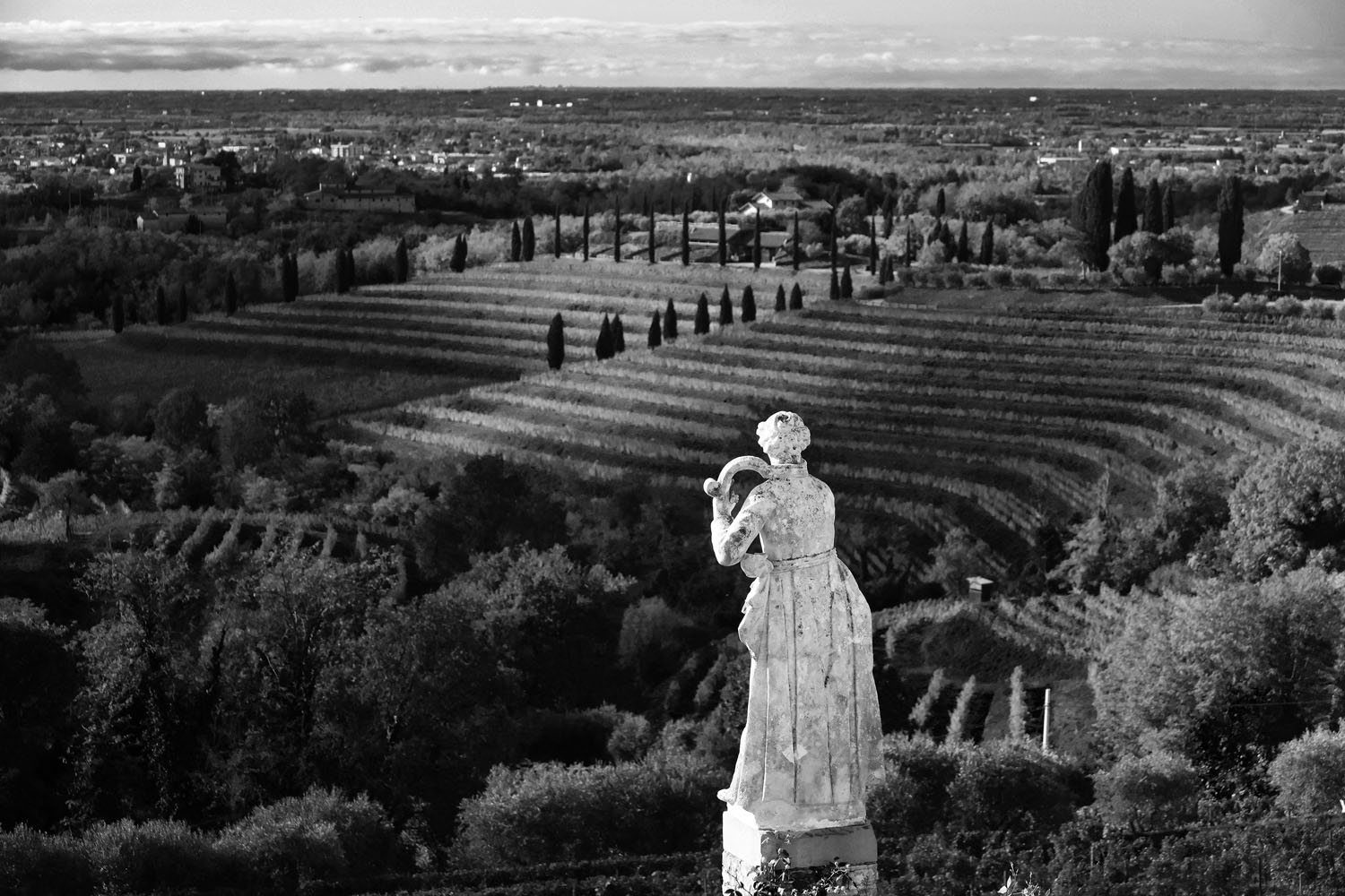 Jazz & Wine of Peace