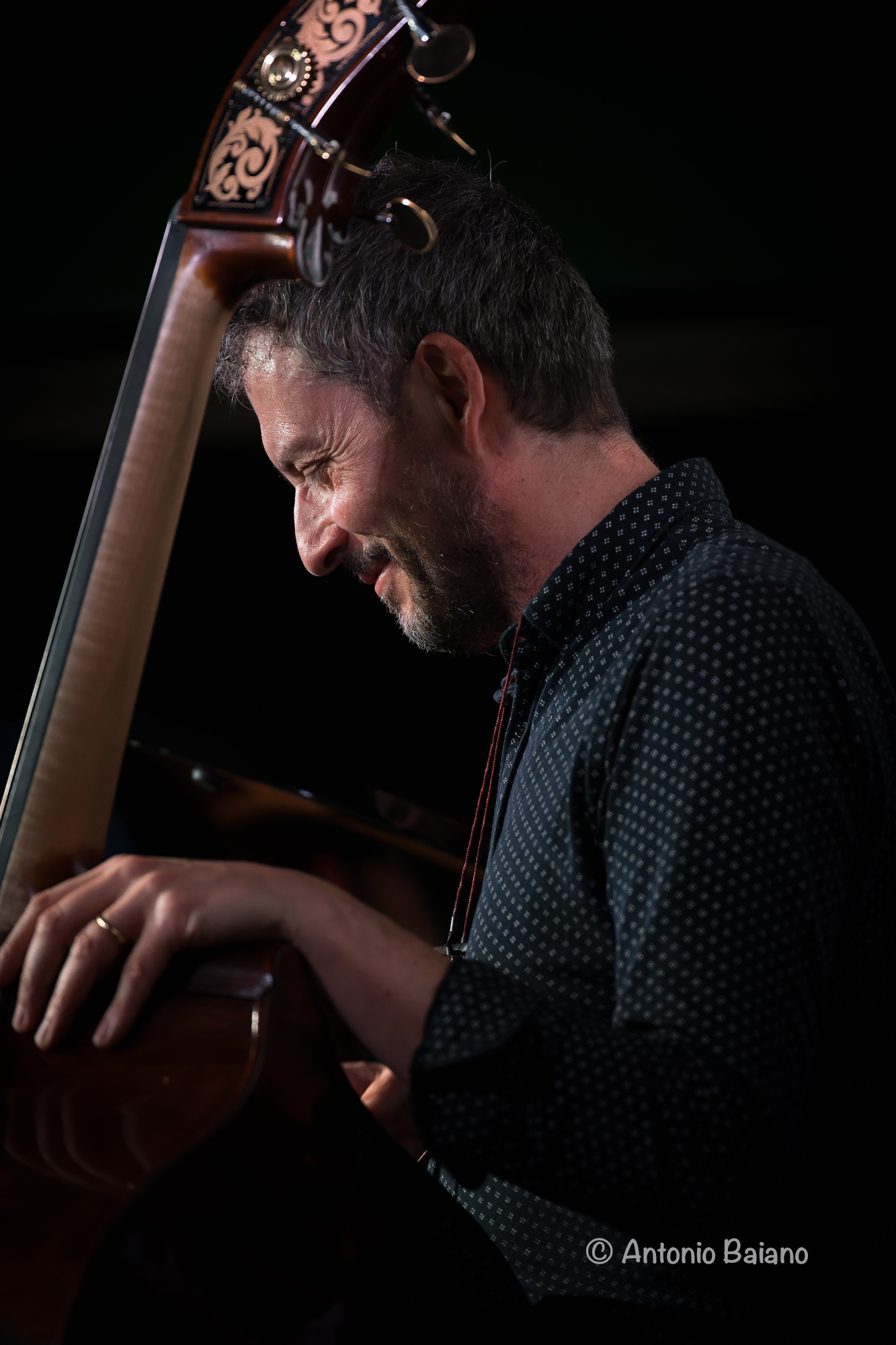 Alessandro Maiorino