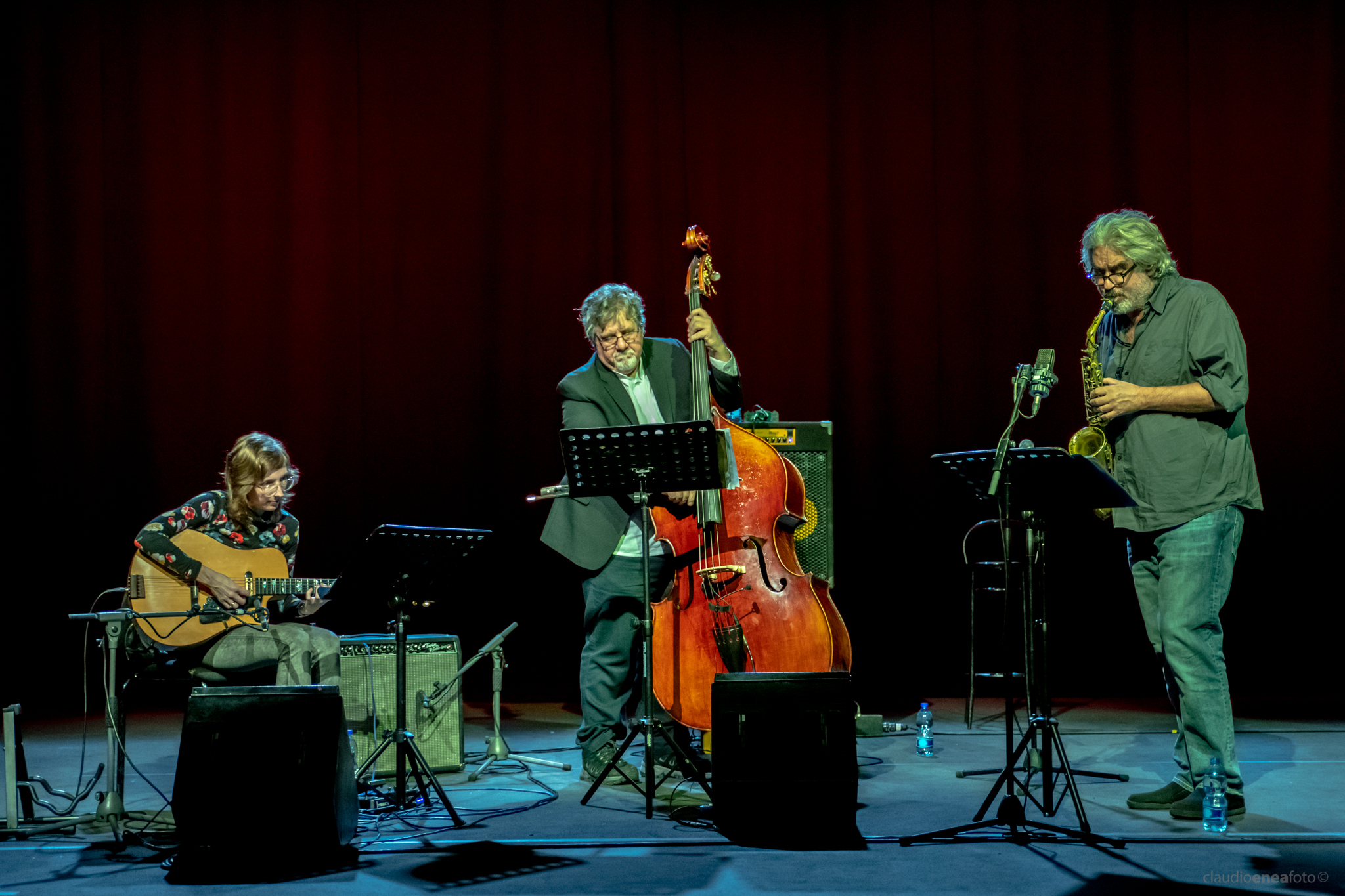 Michael Formanek's Very Pratical Trio - Auditorium Parco della Musica Roma 22.01.2019