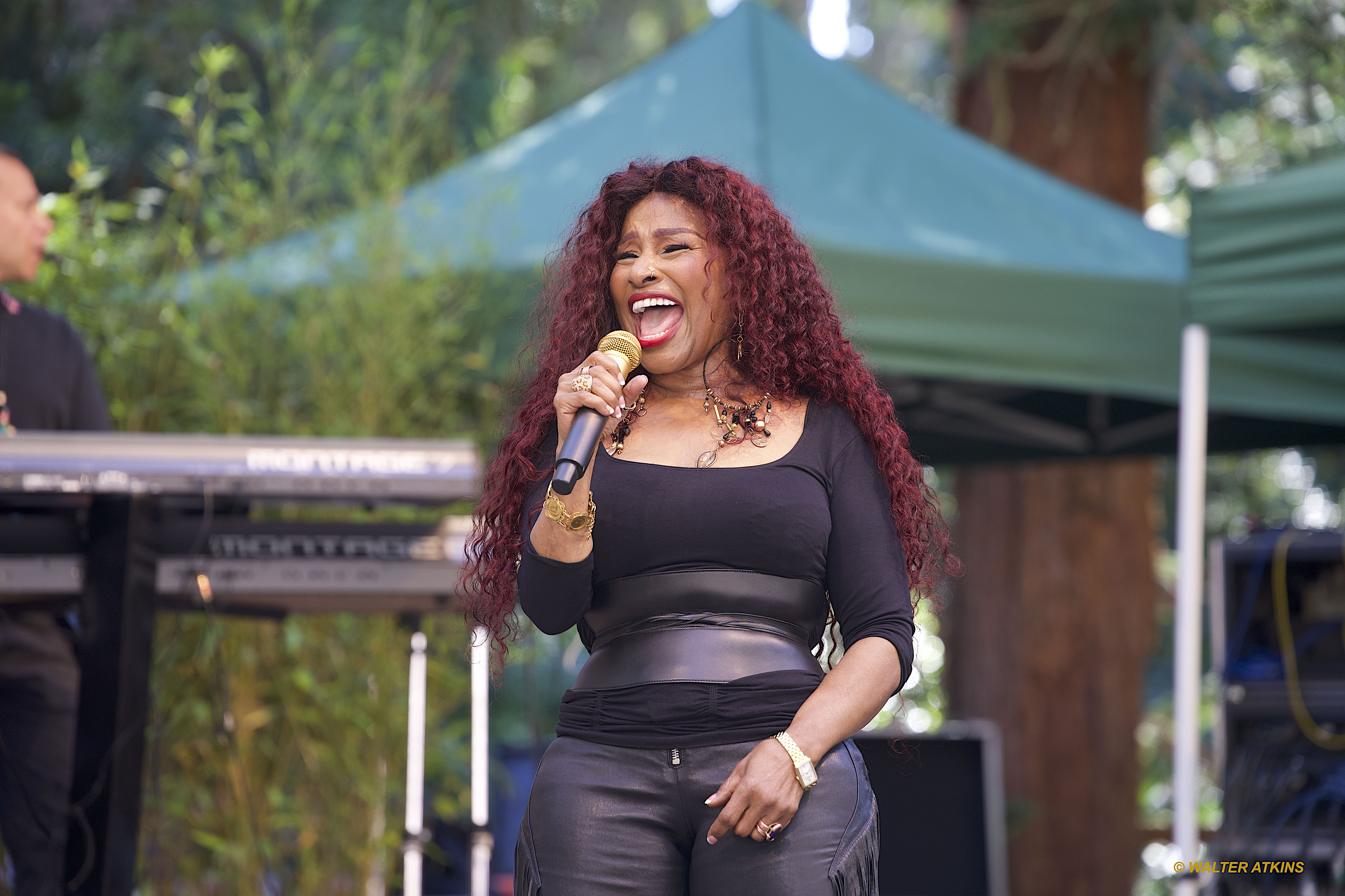 Chaka Khan at Stern Grove 2024