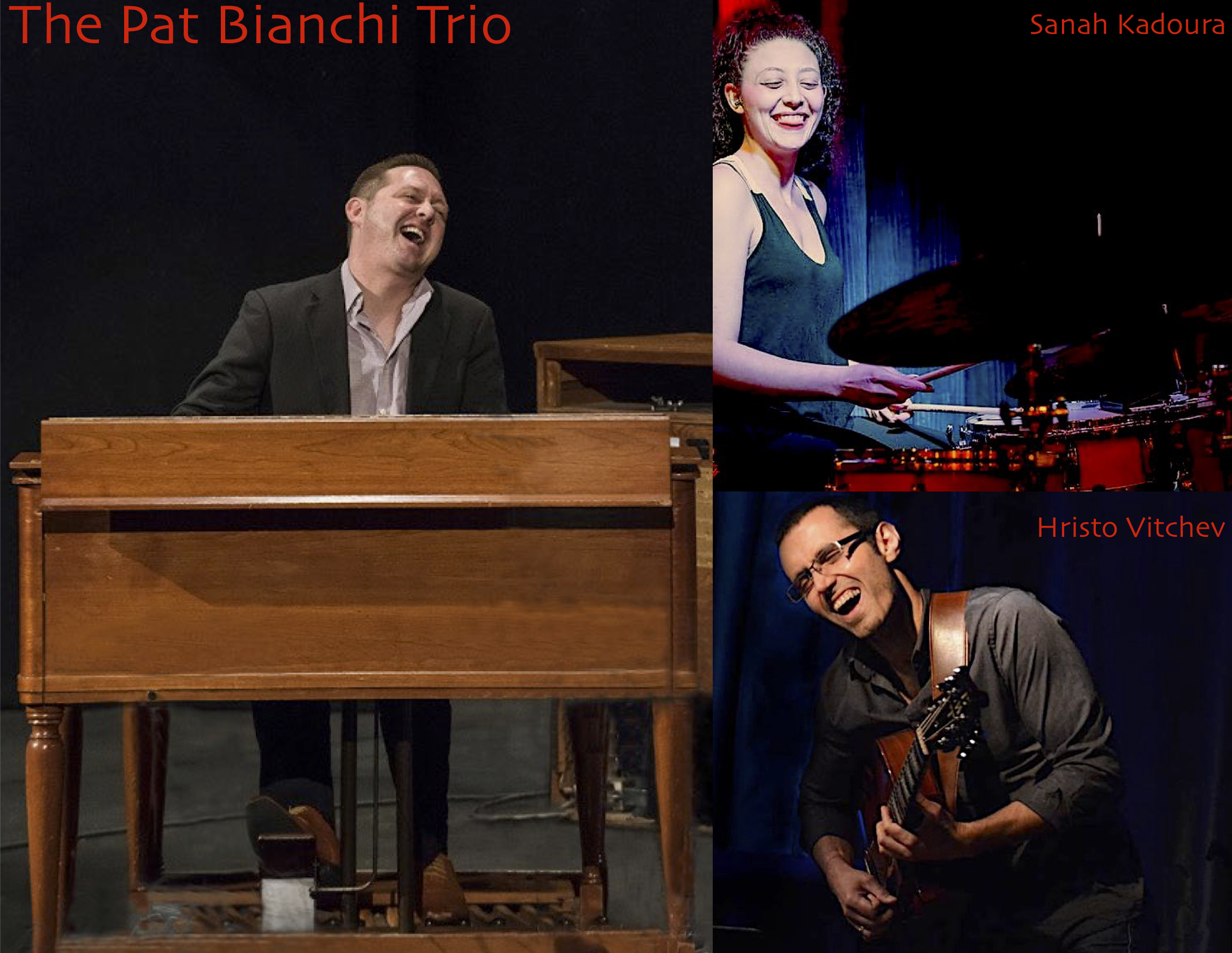 Pat Bianchi Trio