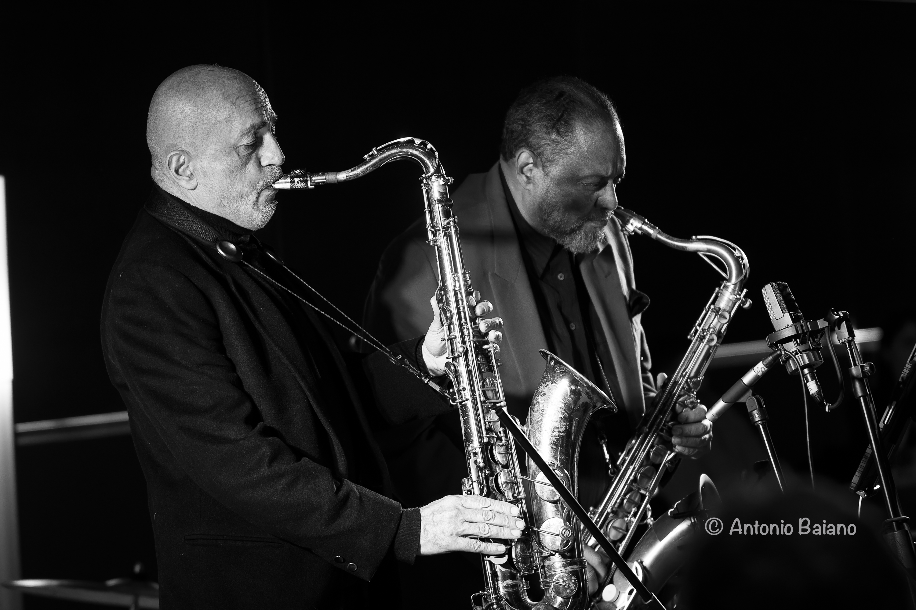 Fulvio Albano, Chico Freeman