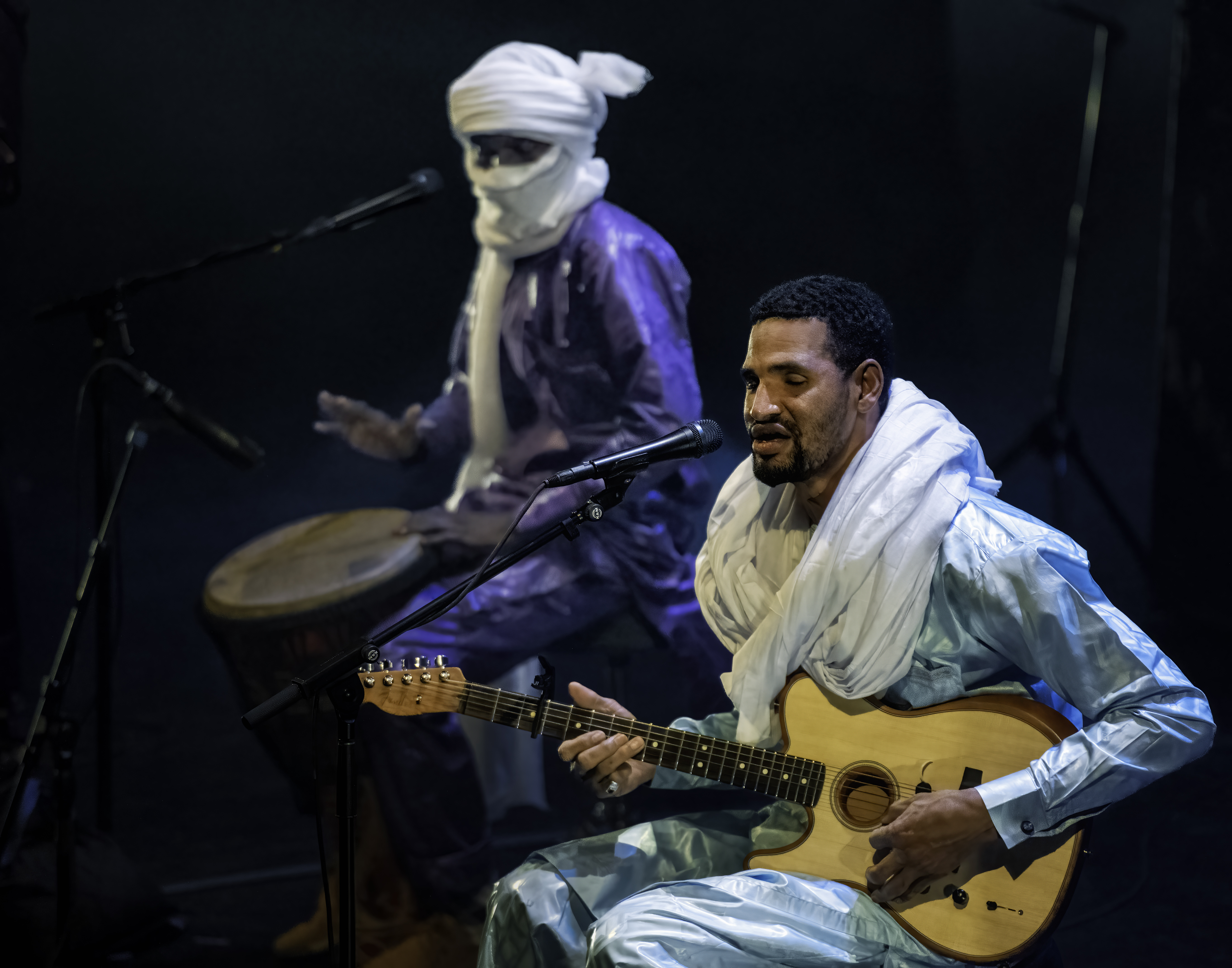 Souleymane Ibrahim and Mdou Moctar at The Brooklyn Academy of Music Opera House