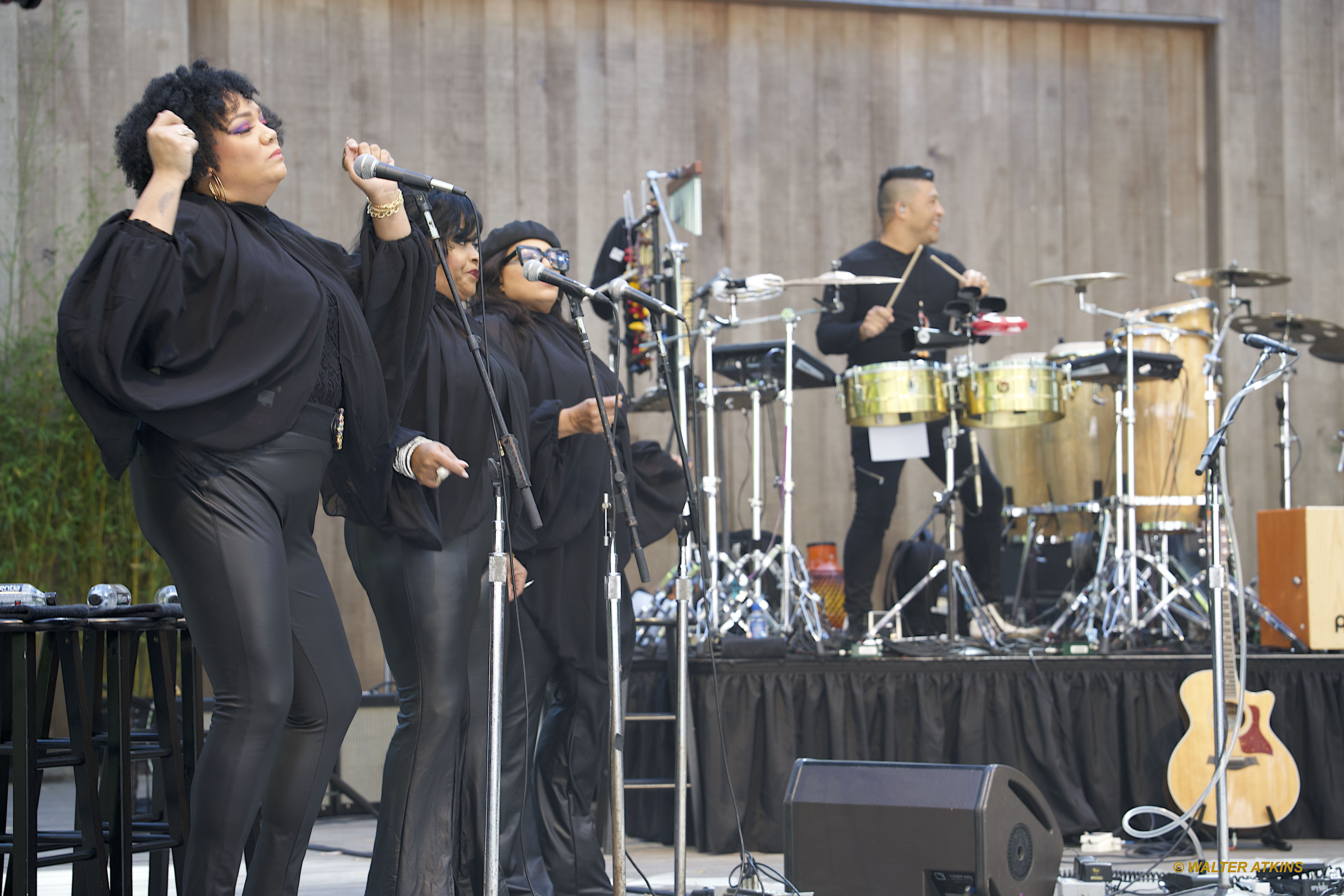 Chaka Khan at Stern Grove 2024