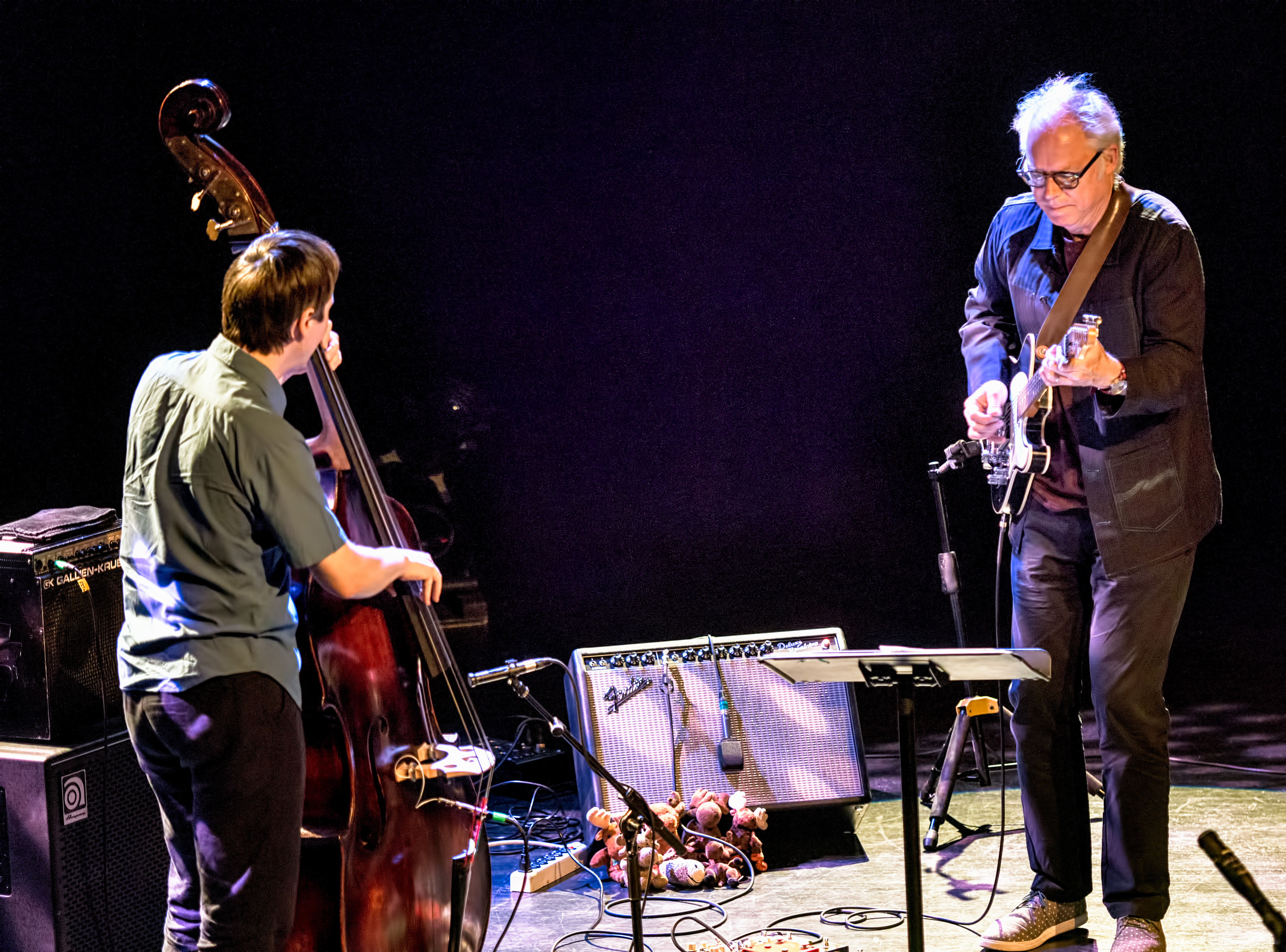 Thomas Morgan and Bill Frisell at The Montreal International Jazz Festival 2017