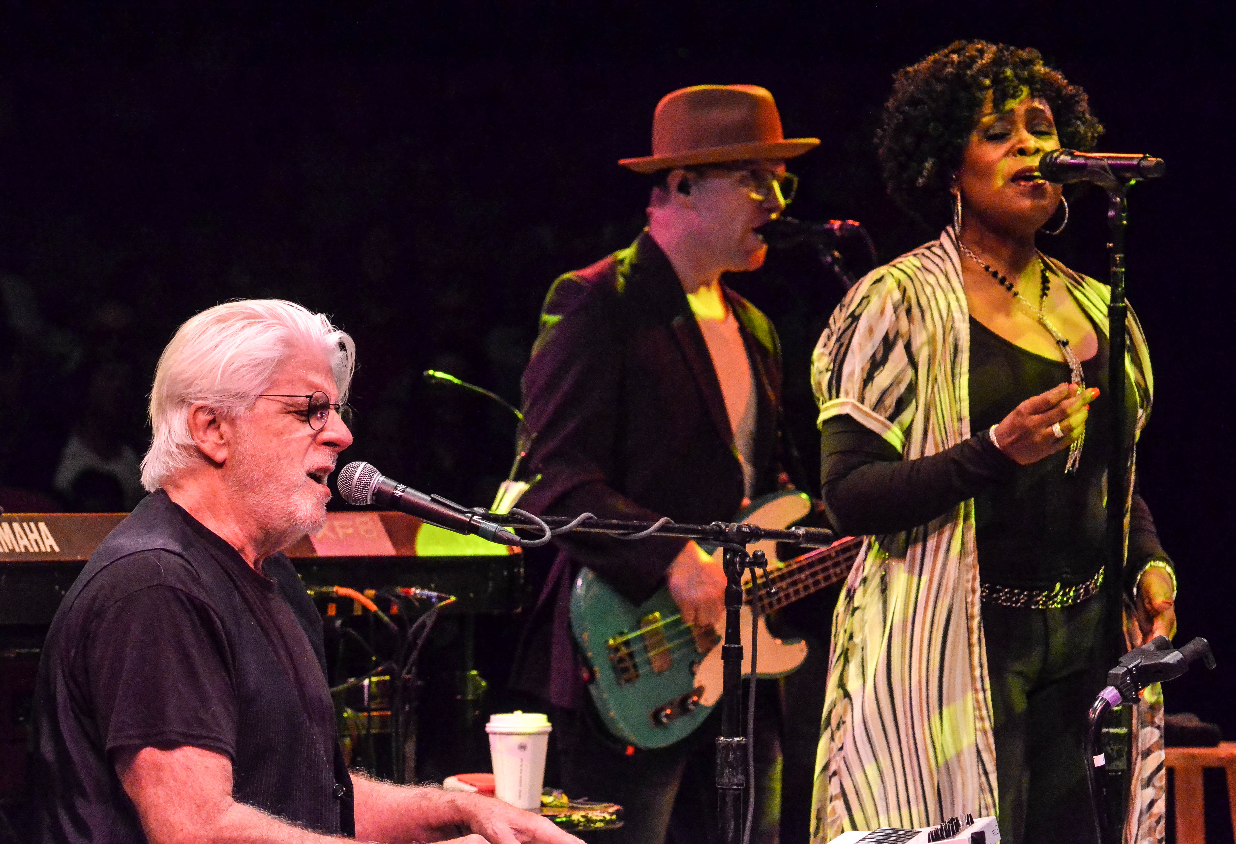 Michael McDonald at NYCB Theatre at Westbury on 6-28-19. 