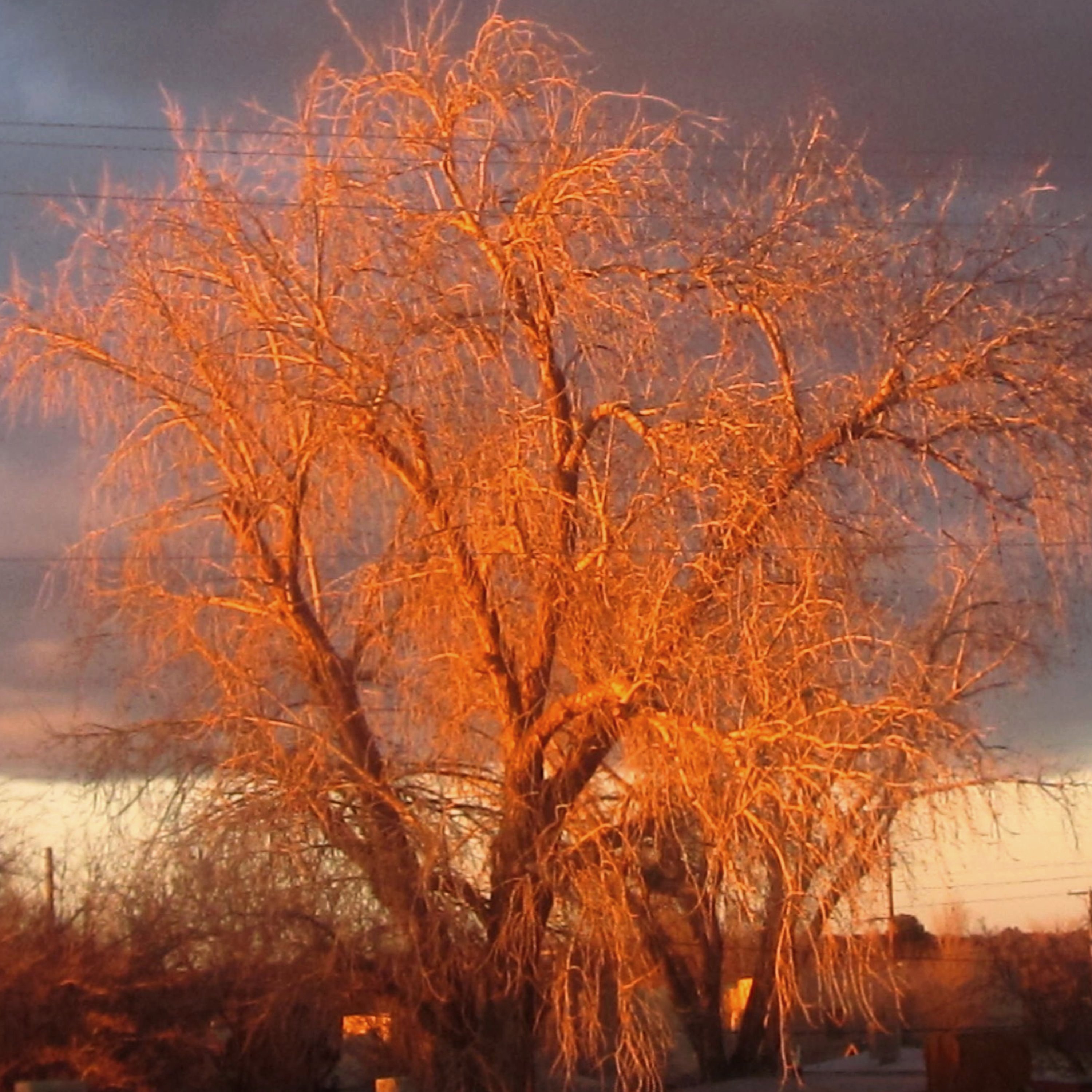 Winter Sunset Photo By Marie Earth Heart