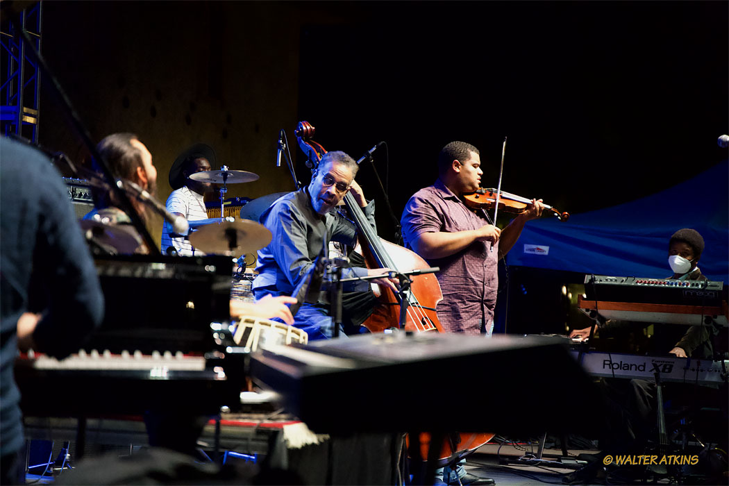 Stanley Clarke At Charles Krug Estate