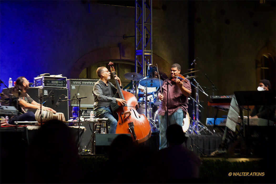 Stanley Clarke At Charles Krug Estate