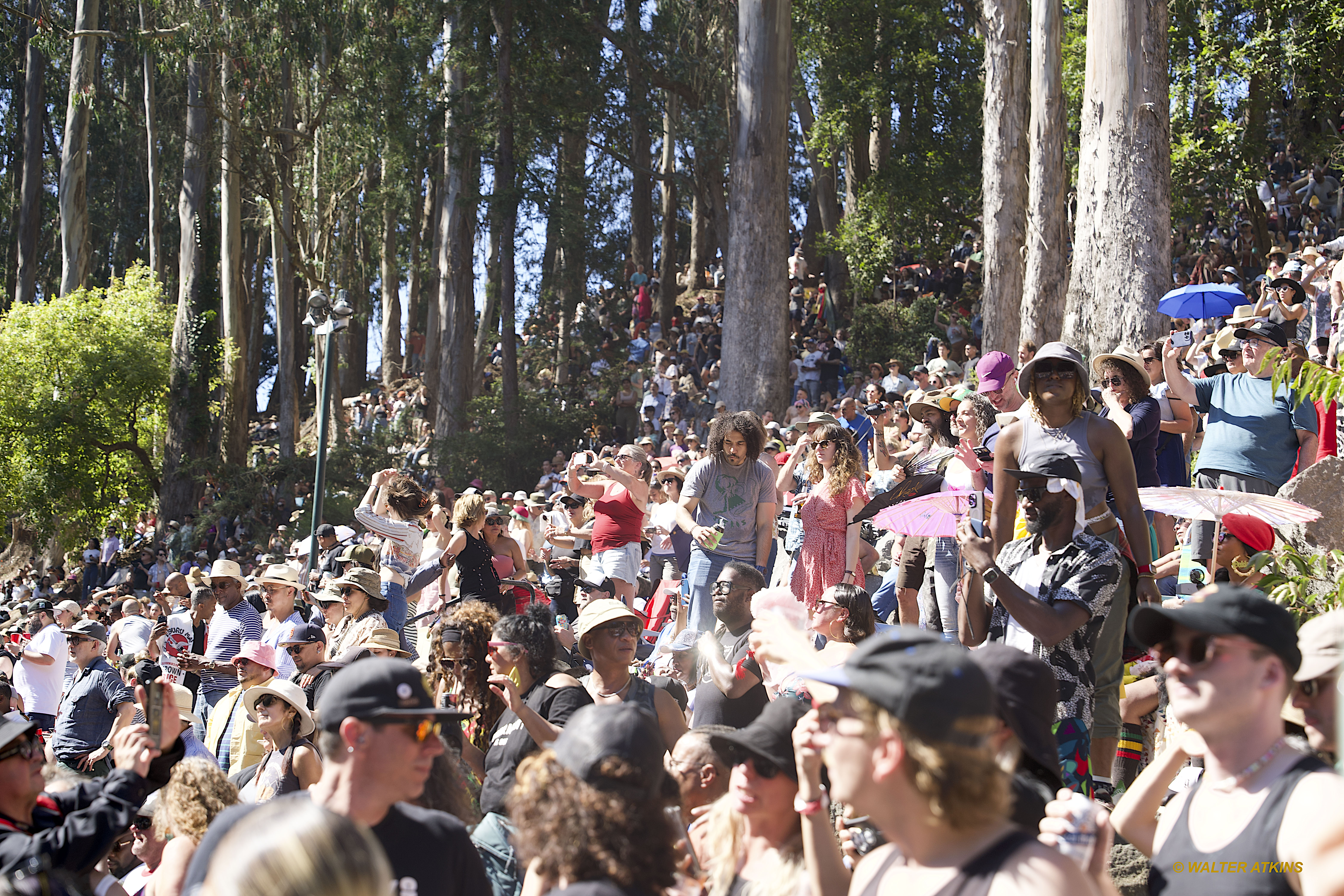 Chaka Khan at Stern Grove 2024