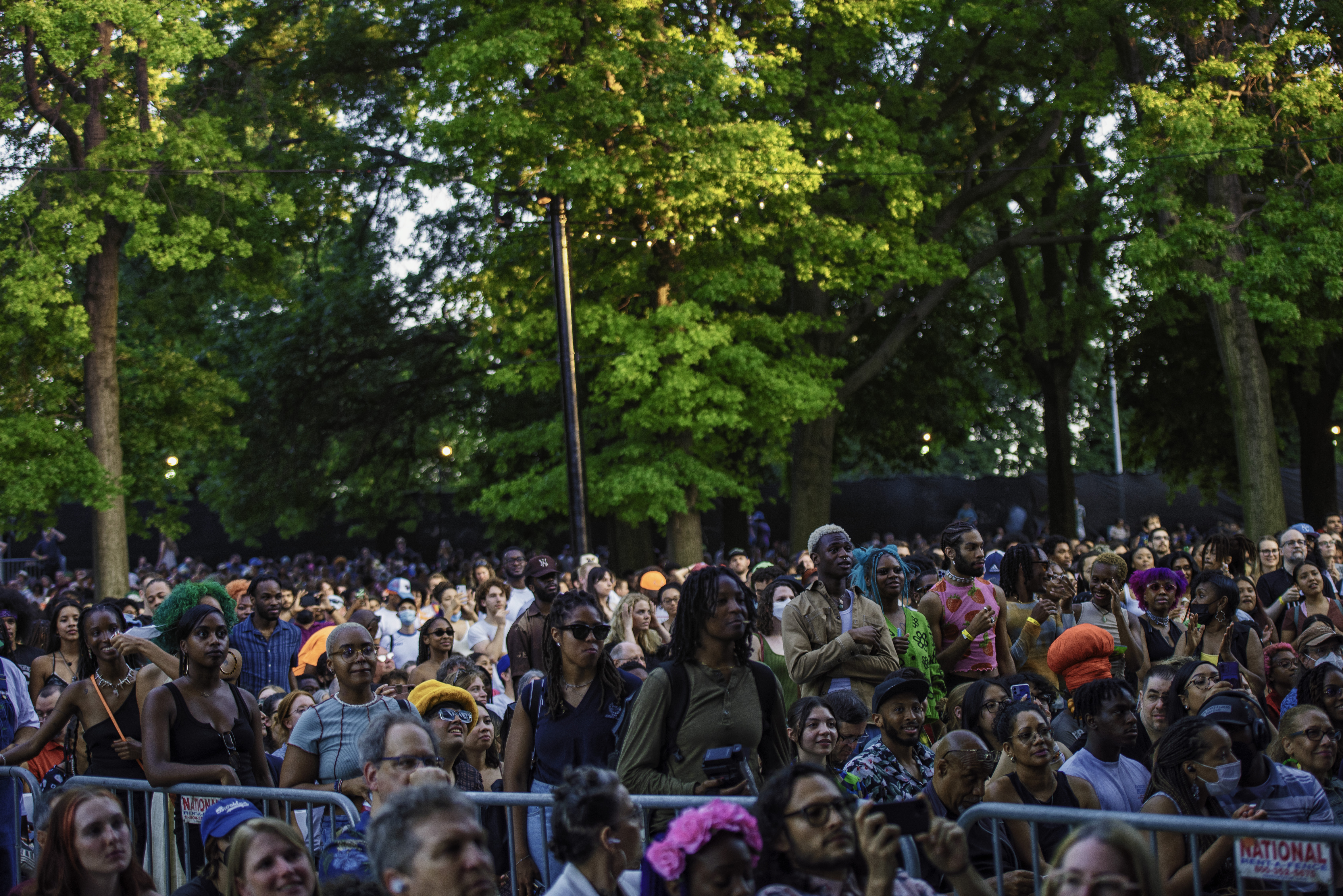 Crowd at Kamasi Washington at BRIC Celebrate Brooklyn in Prospect Park