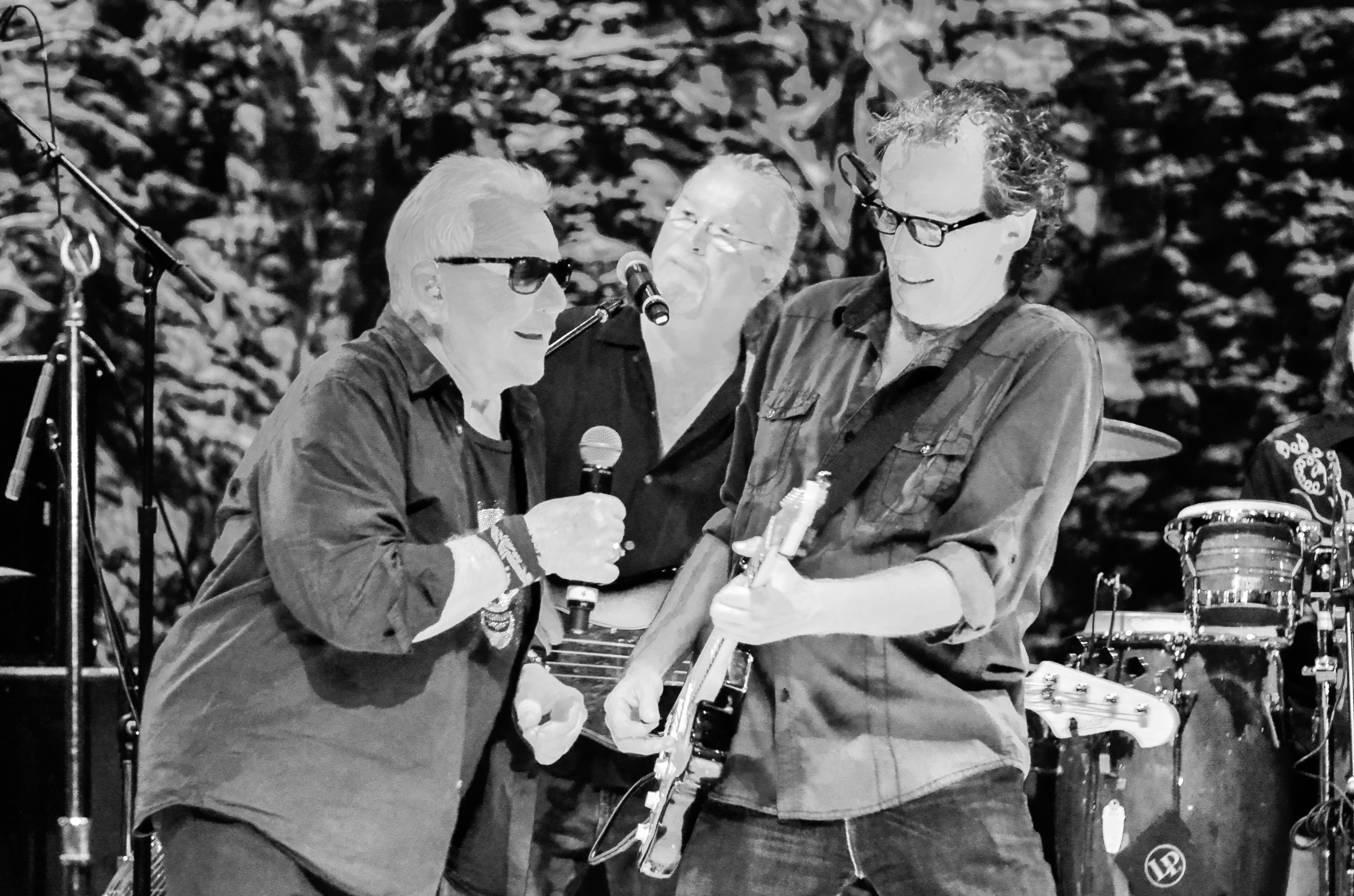 Eric Burdon & the Animals at NYCB Theatre at Westbury on 8-28-2015. 