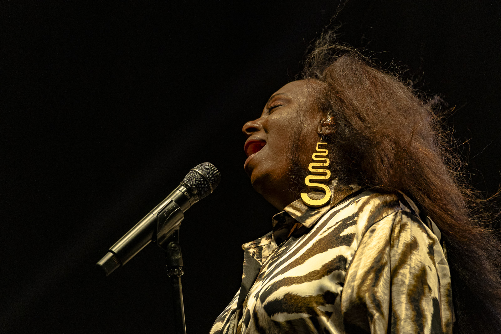 Ledisi
