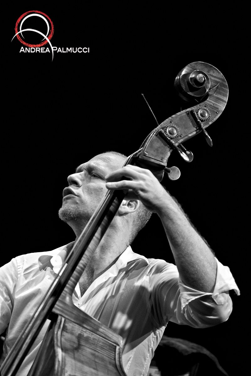 Avishai Cohen