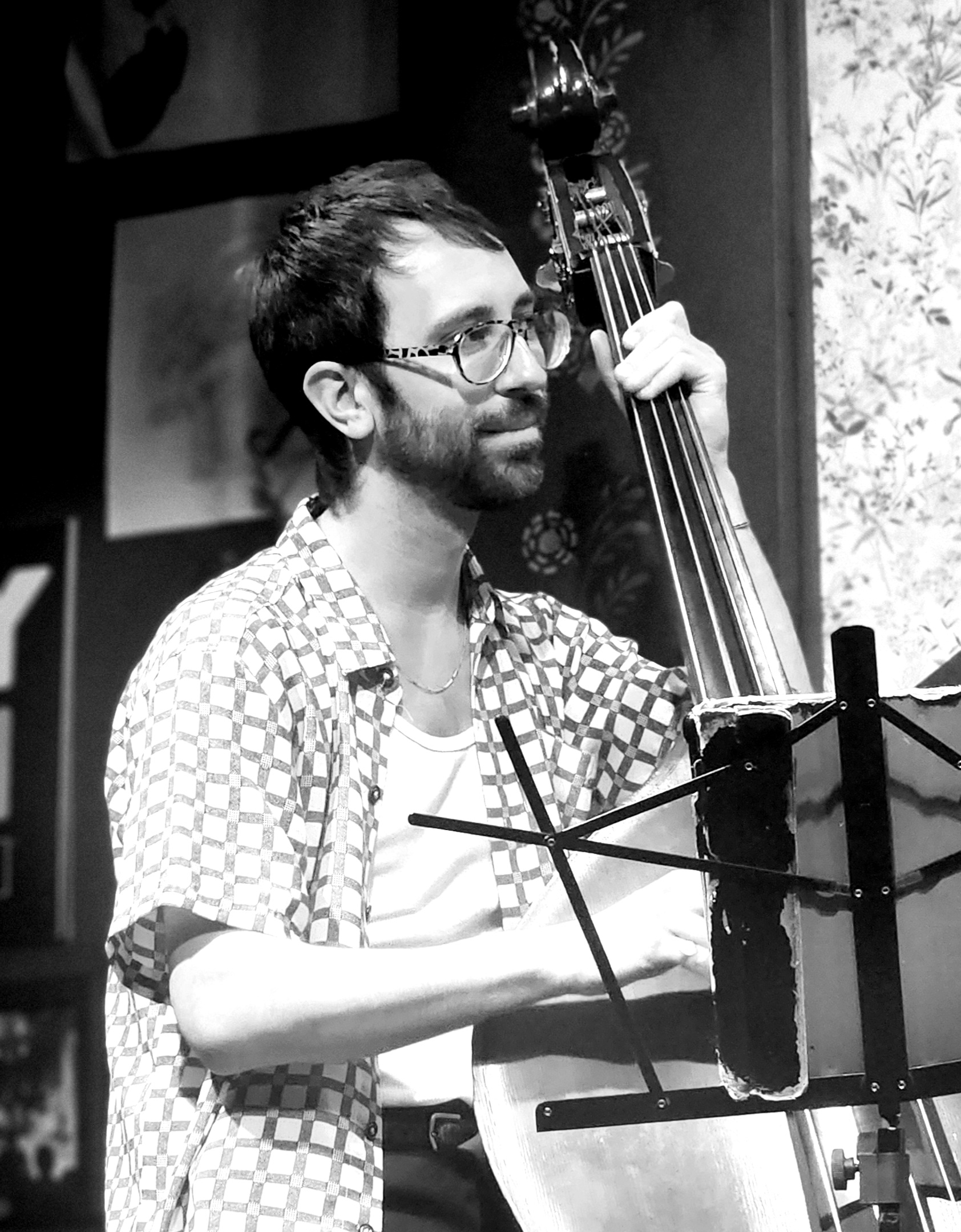 Acoustic Bassist