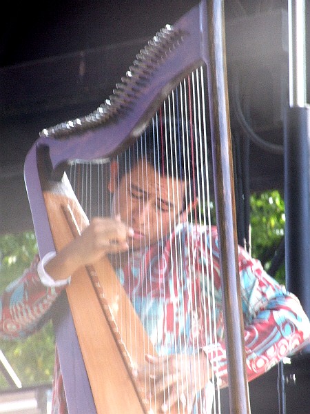 Edmar Castaneda, Special Guest with Nicole Mitchell's Black Earth Ensemble at 2010 Chicago Jazz Festival