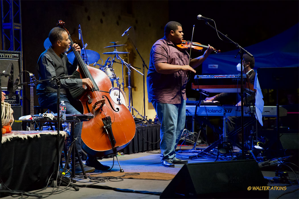 Stanley Clarke At Charles Krug Estate