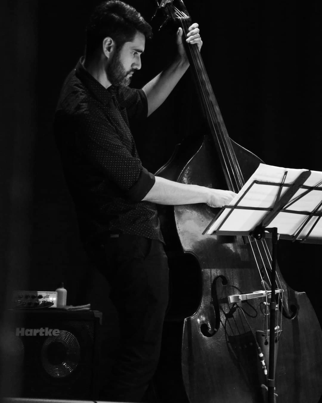 Playing the double bass