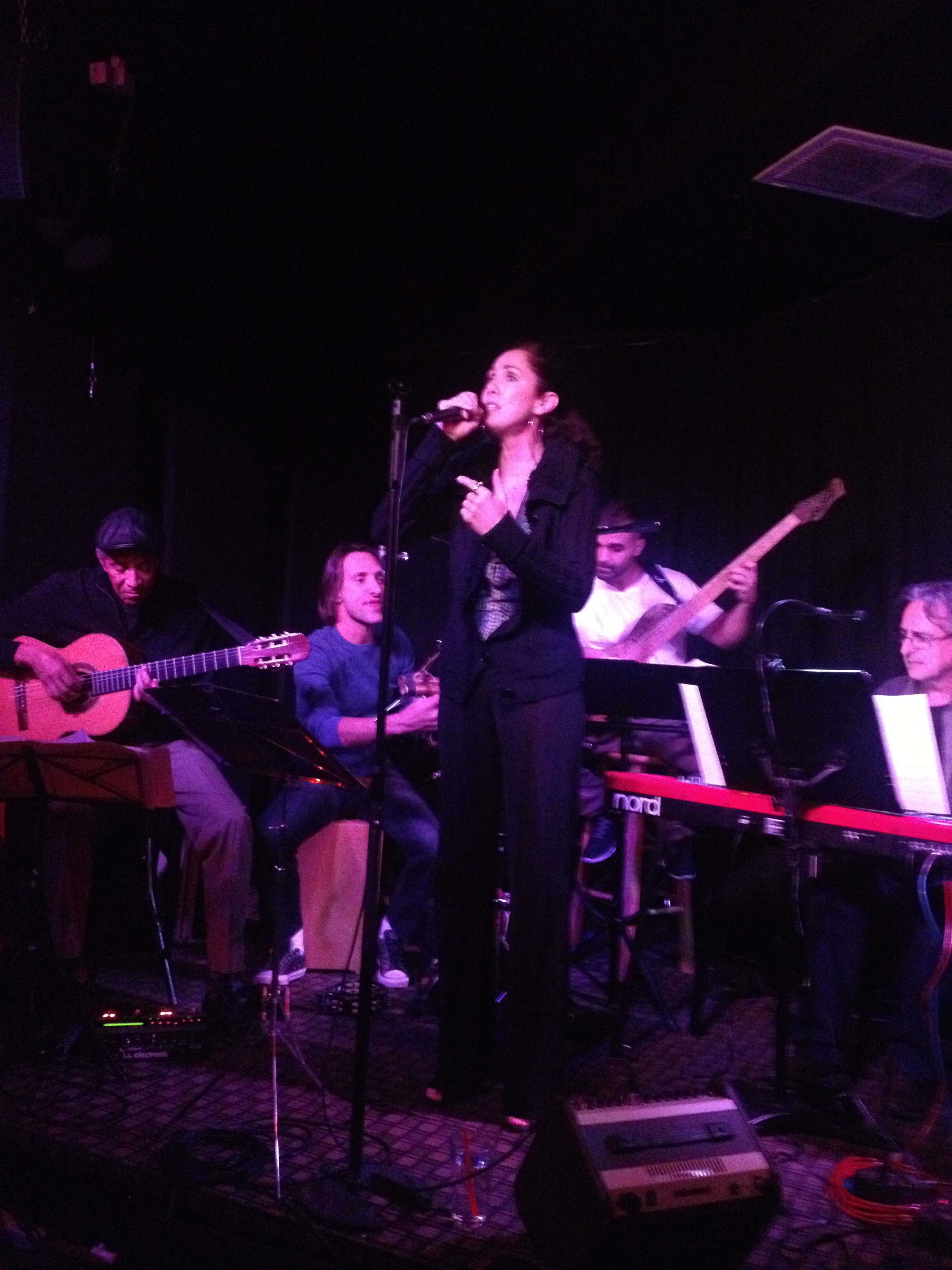 Ipanema Lounge Project at Genghis Cohen, November 25, 2014